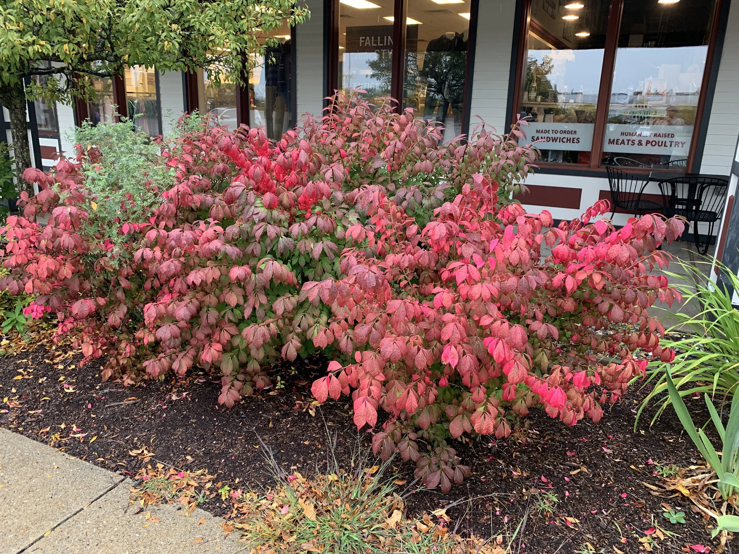 2019-09-26 15.12.42.jpg