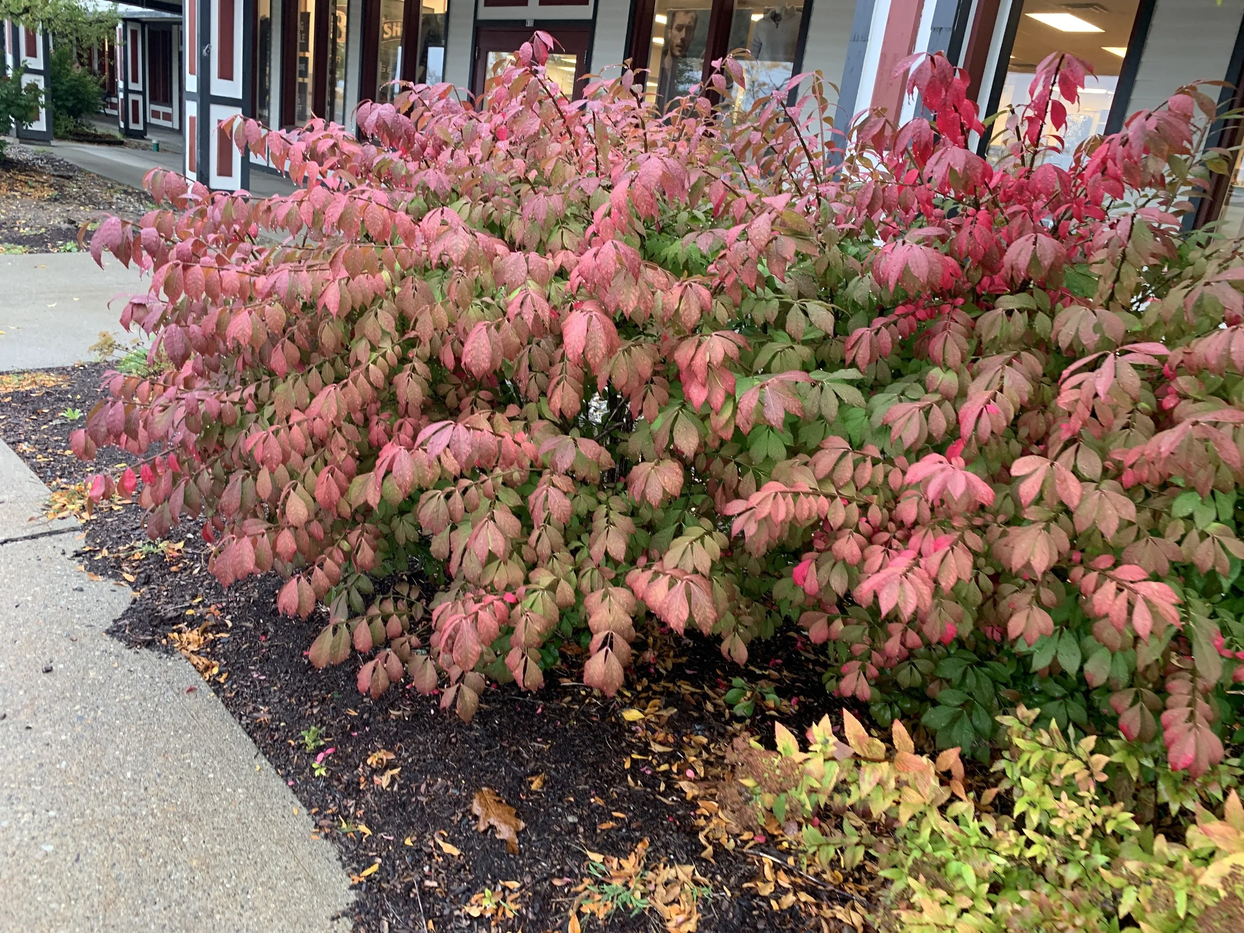 2019-09-26 15.13.07.jpg
