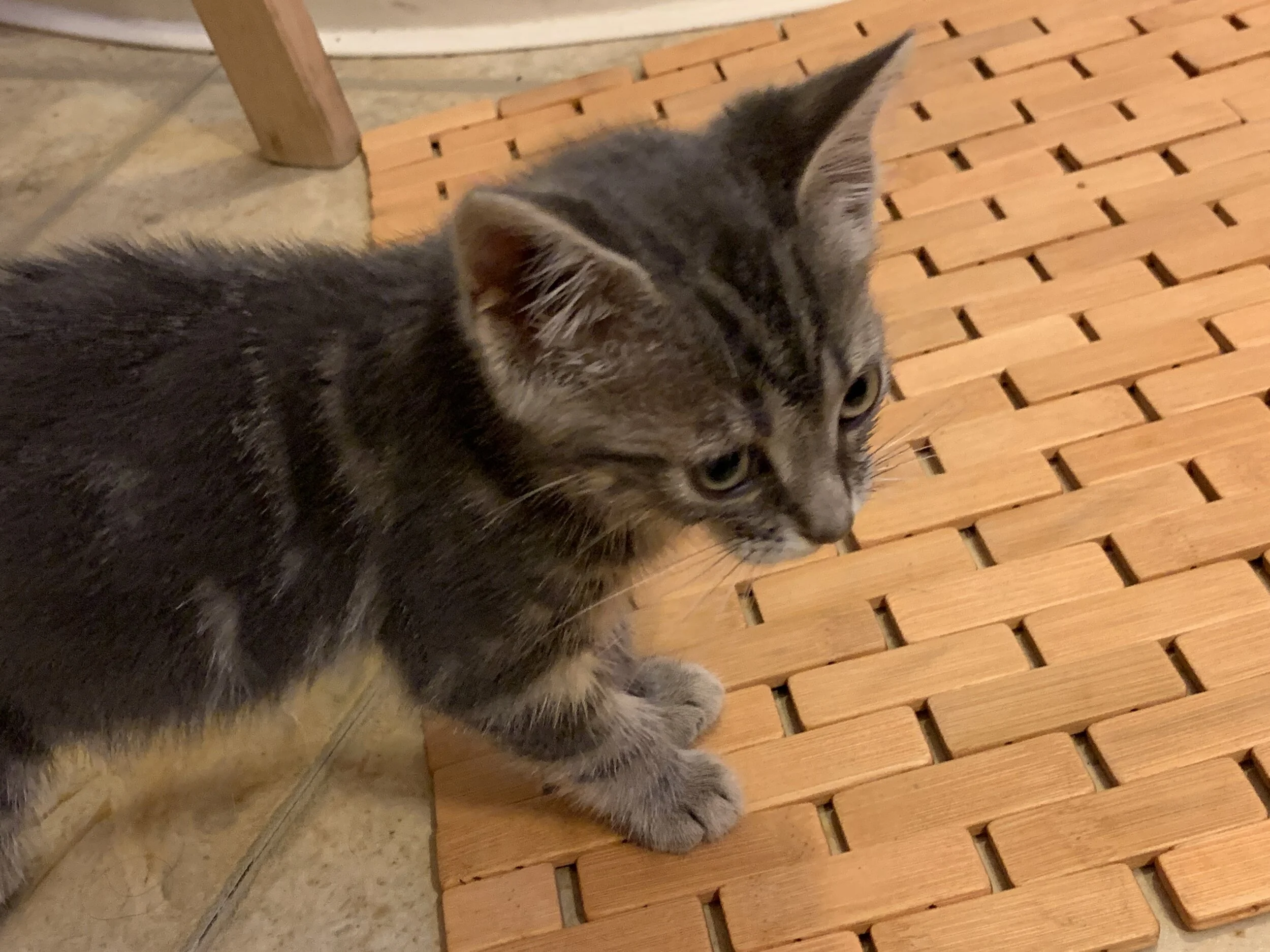 2019-10-01 09.10.24.jpg