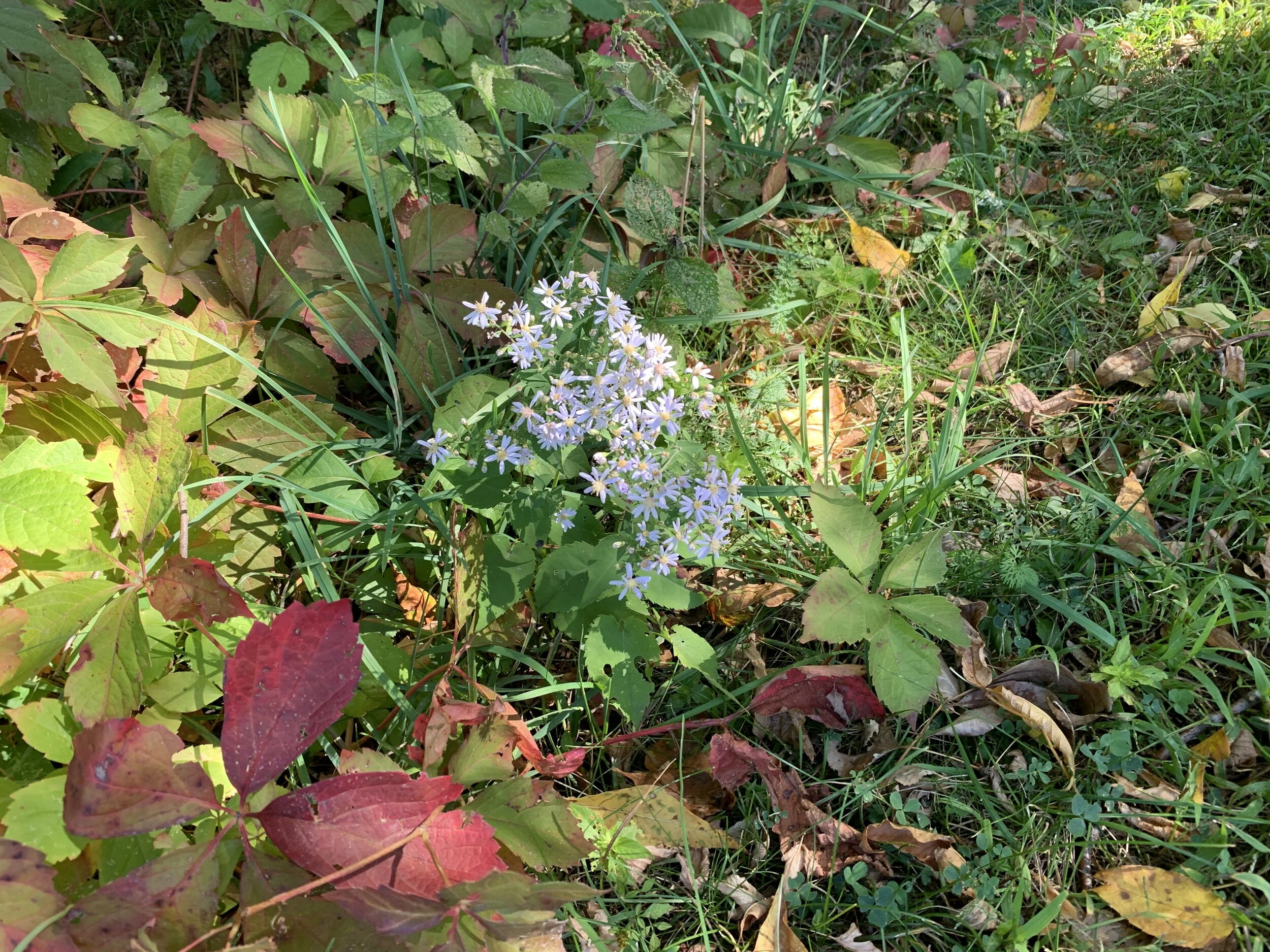 2019-09-27 11.23.13.jpg