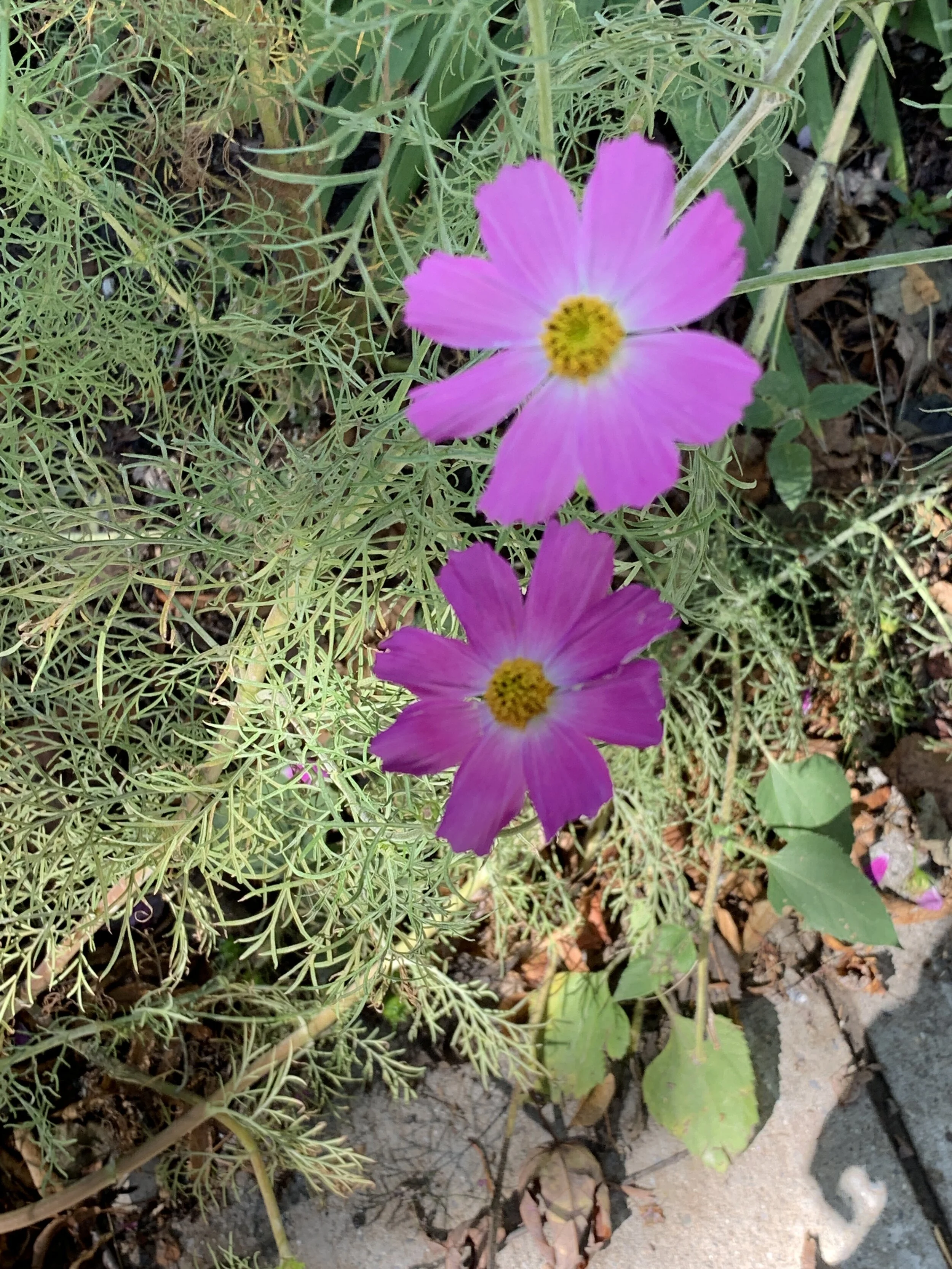 2019-09-27 11.36.41.jpg