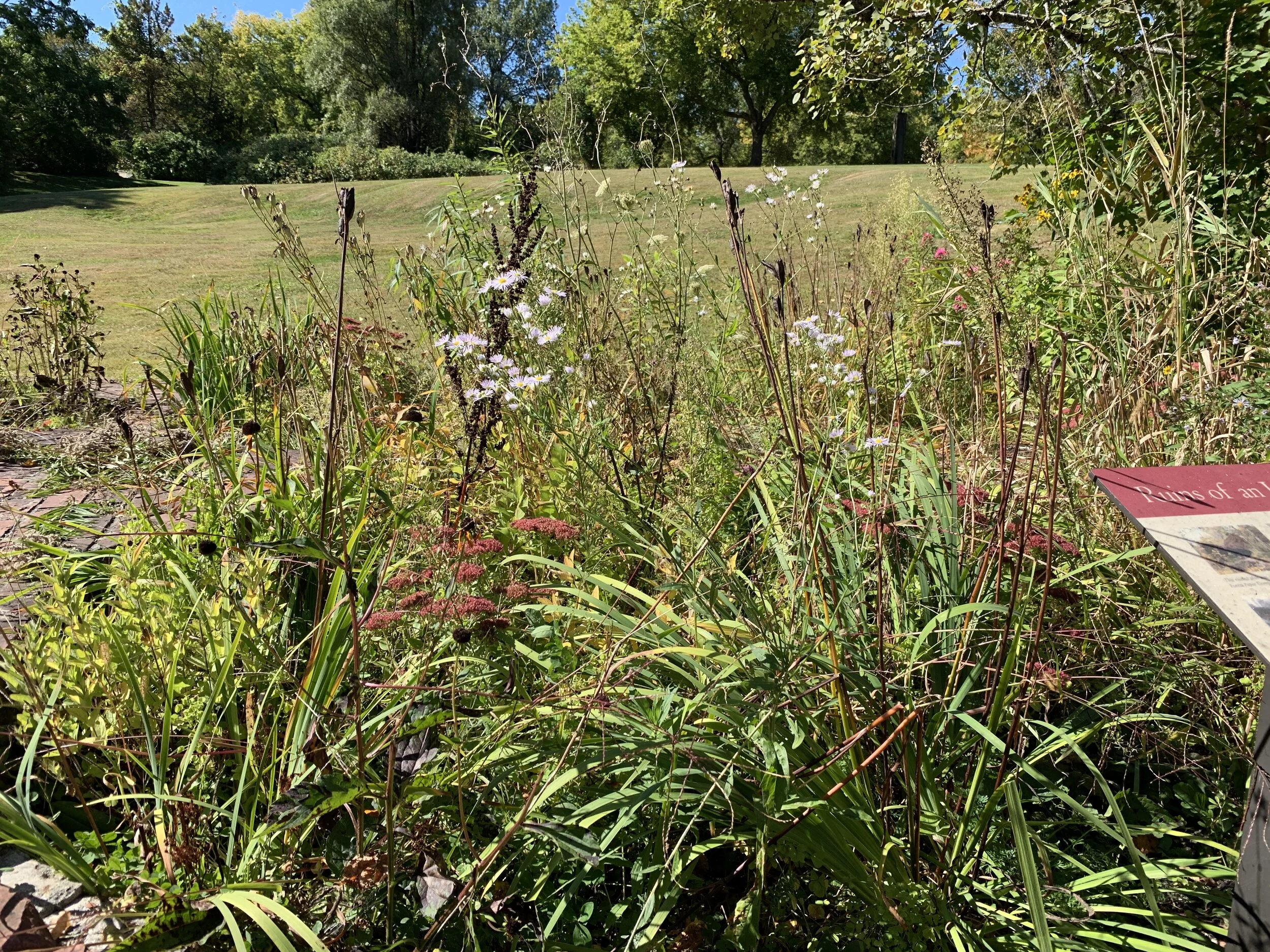 2019-09-29 11.14.11.jpg