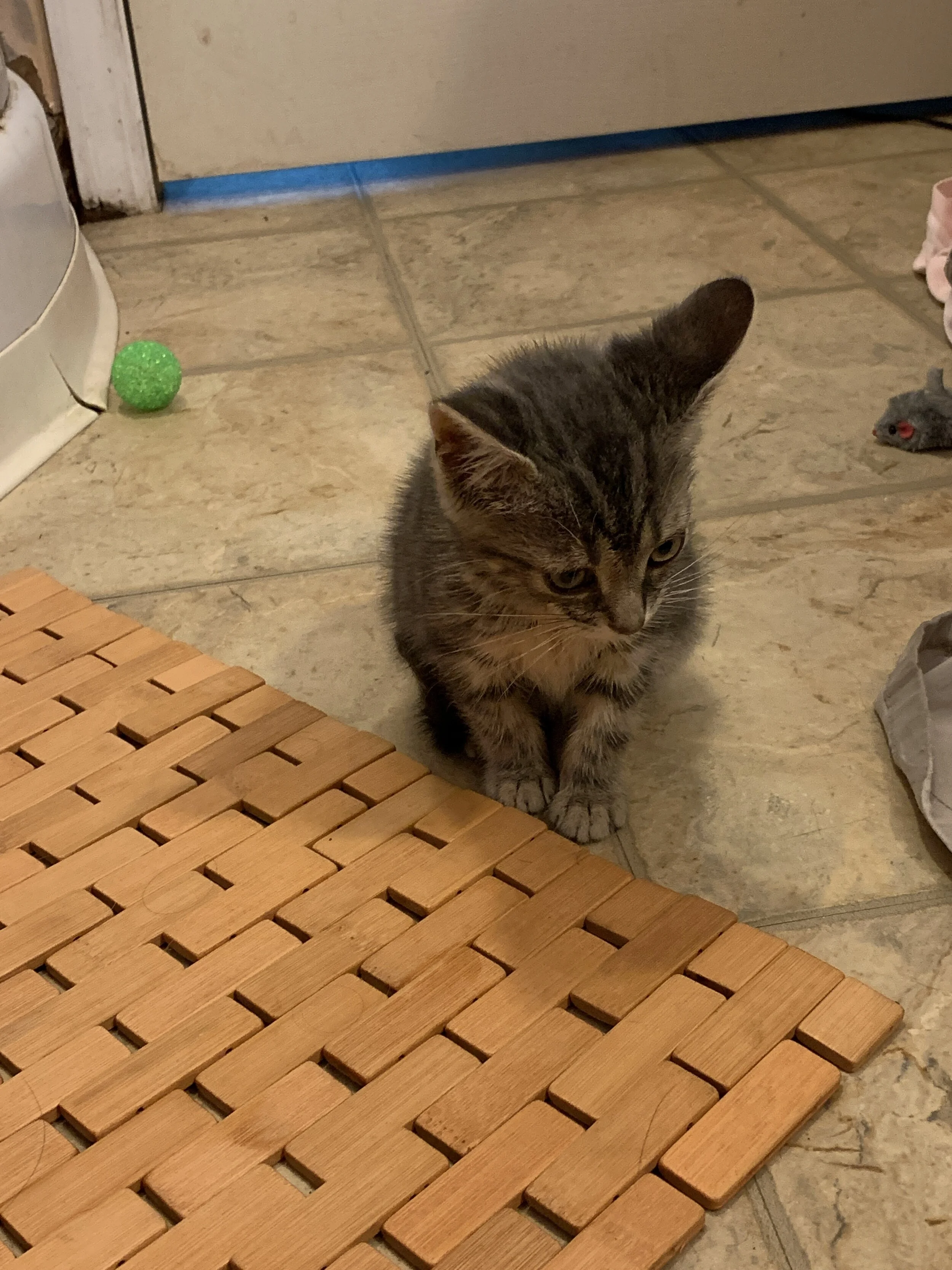 2019-10-01 09.14.23.jpg
