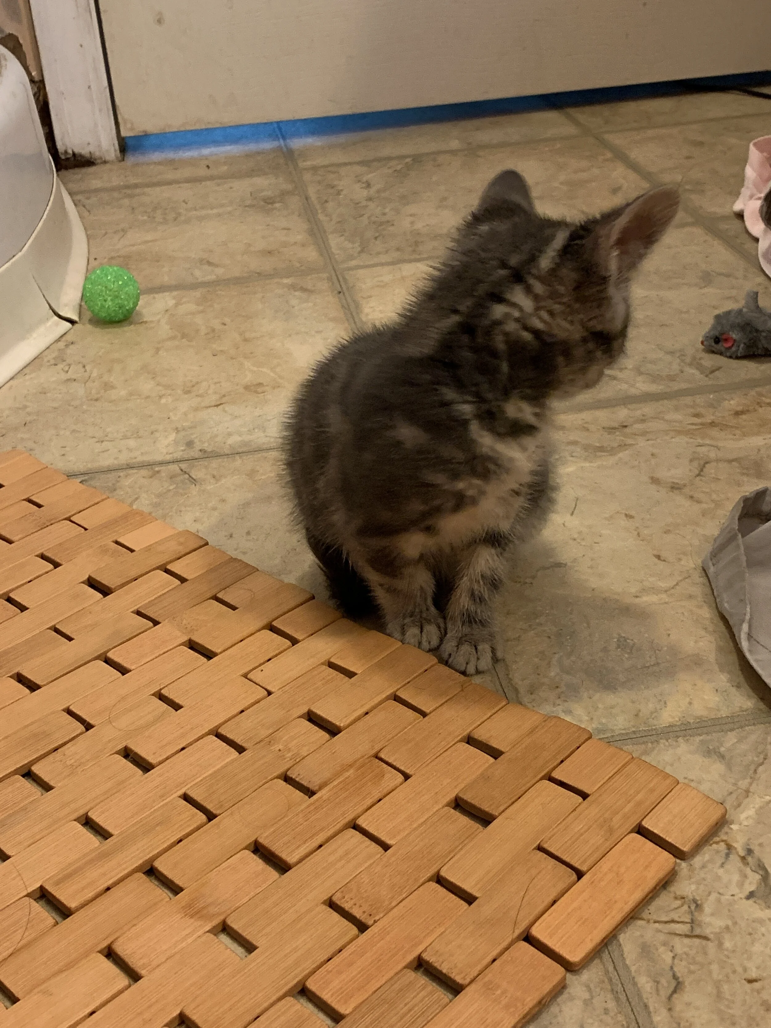 2019-10-01 09.14.29.jpg