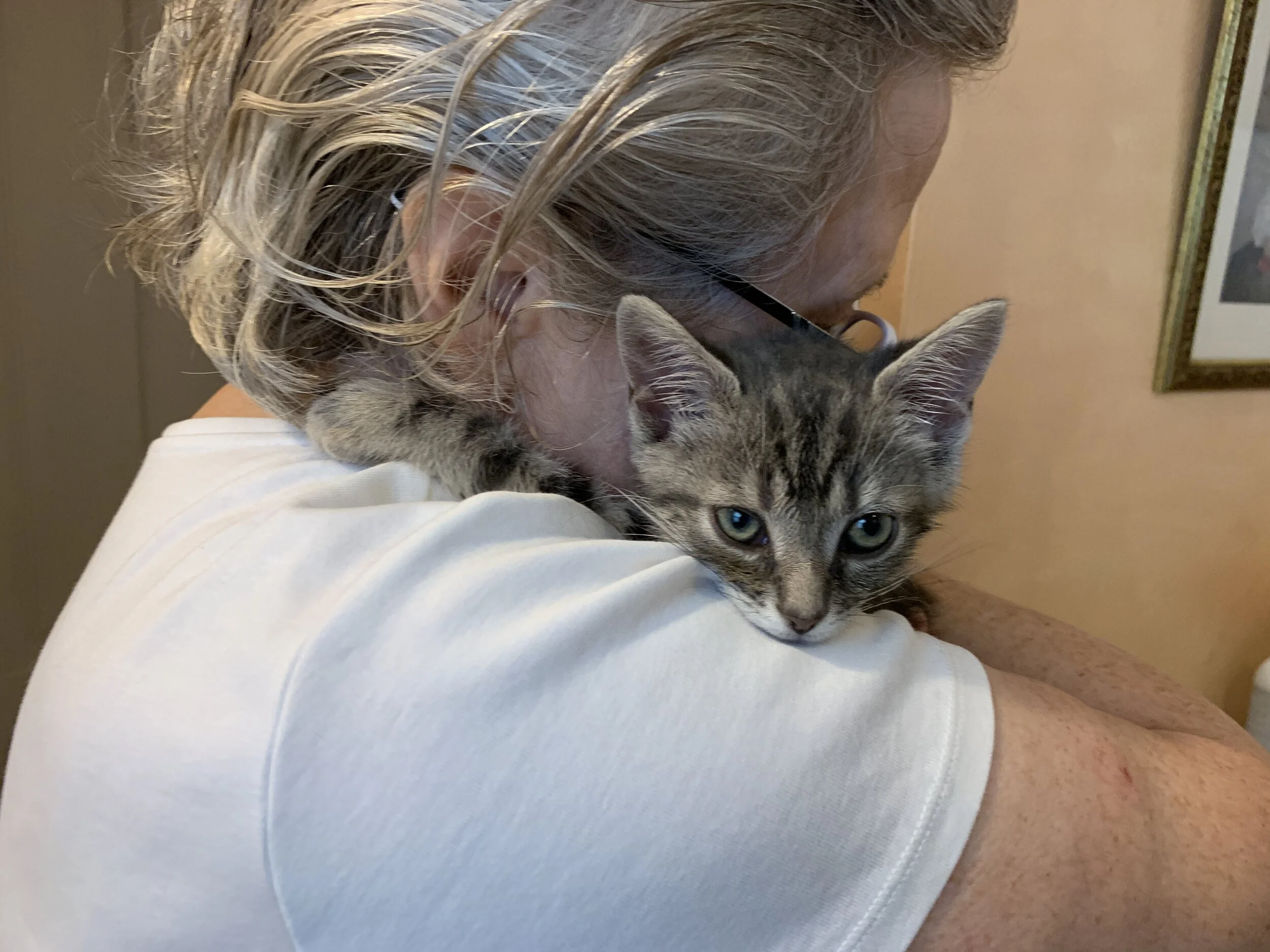 2019-10-01 09.52.56.jpg