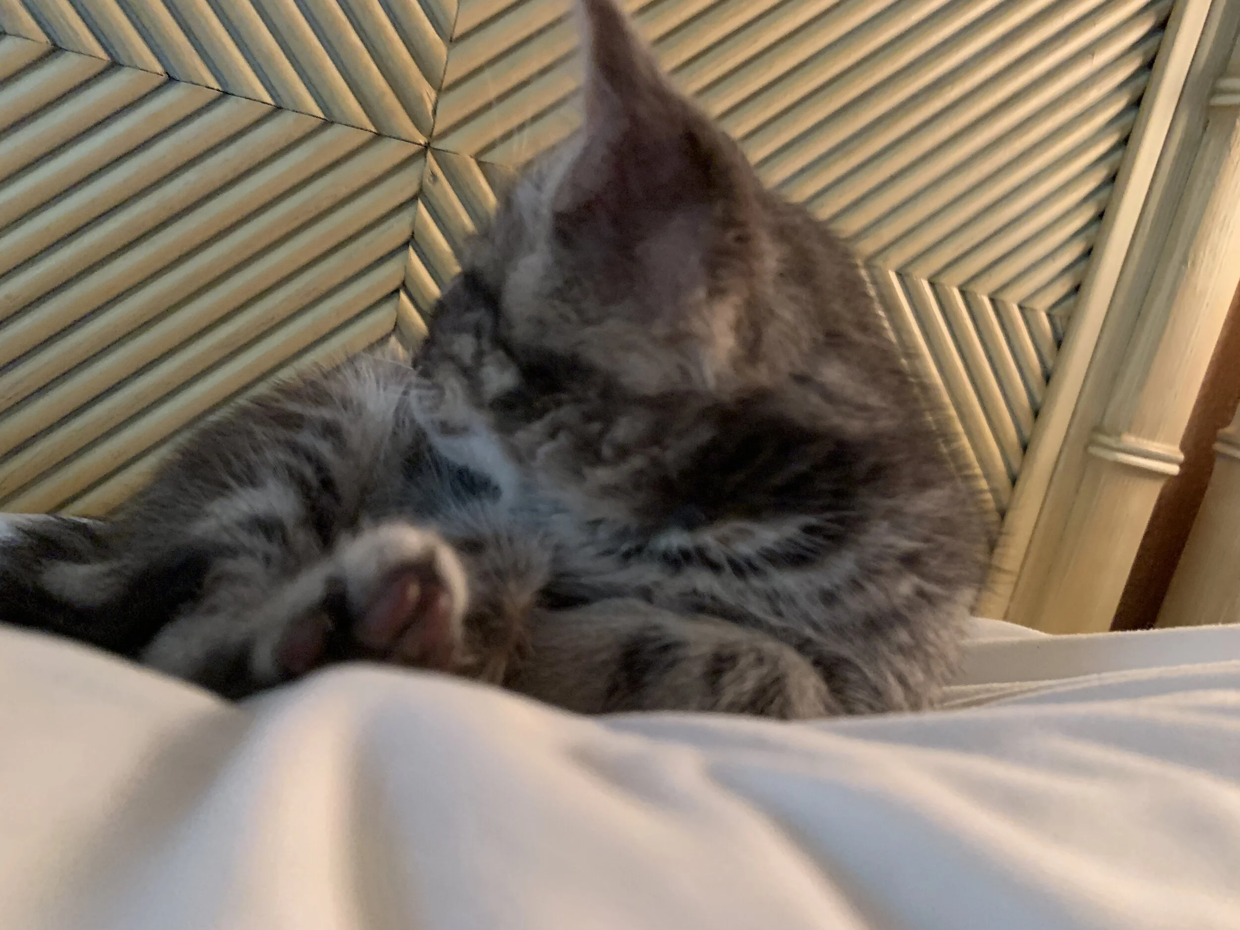 2019-10-01 16.06.56.jpg