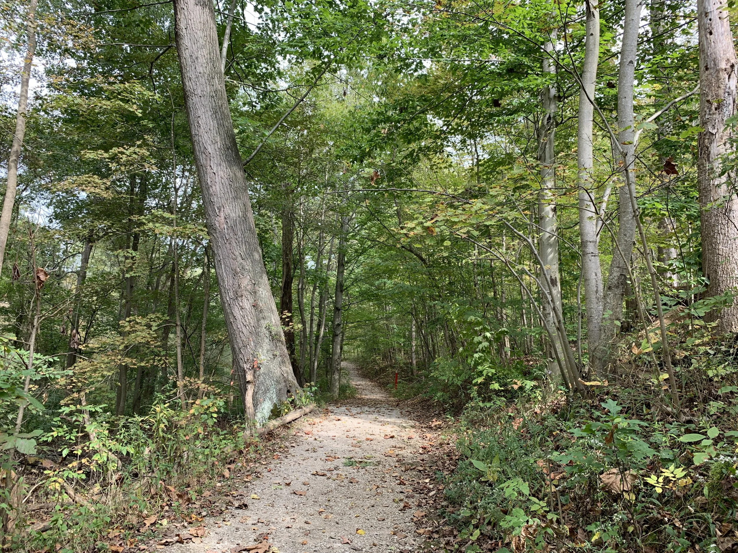 2019-10-02 13.09.49.jpg