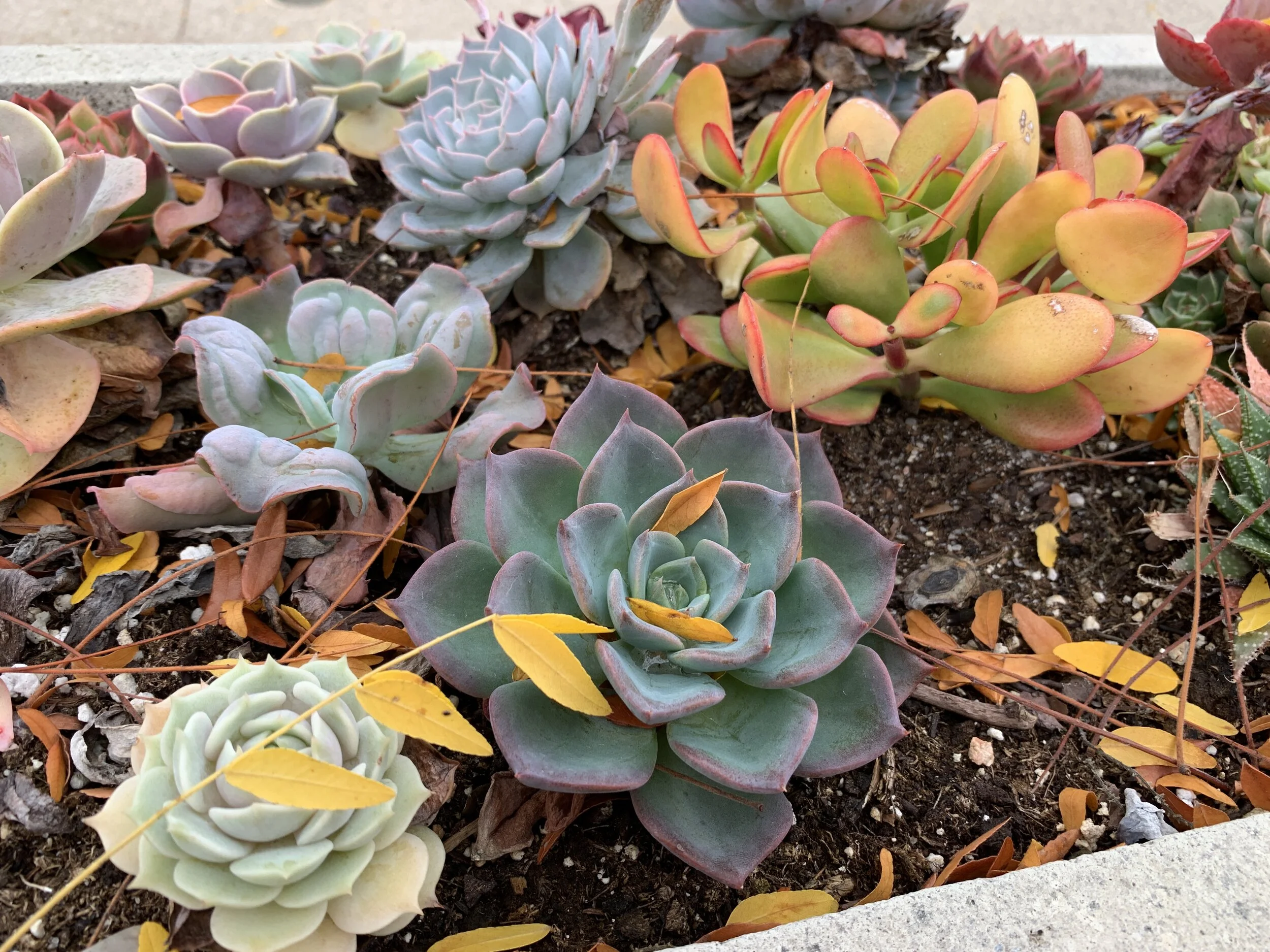 2019-10-03 15.09.22.jpg