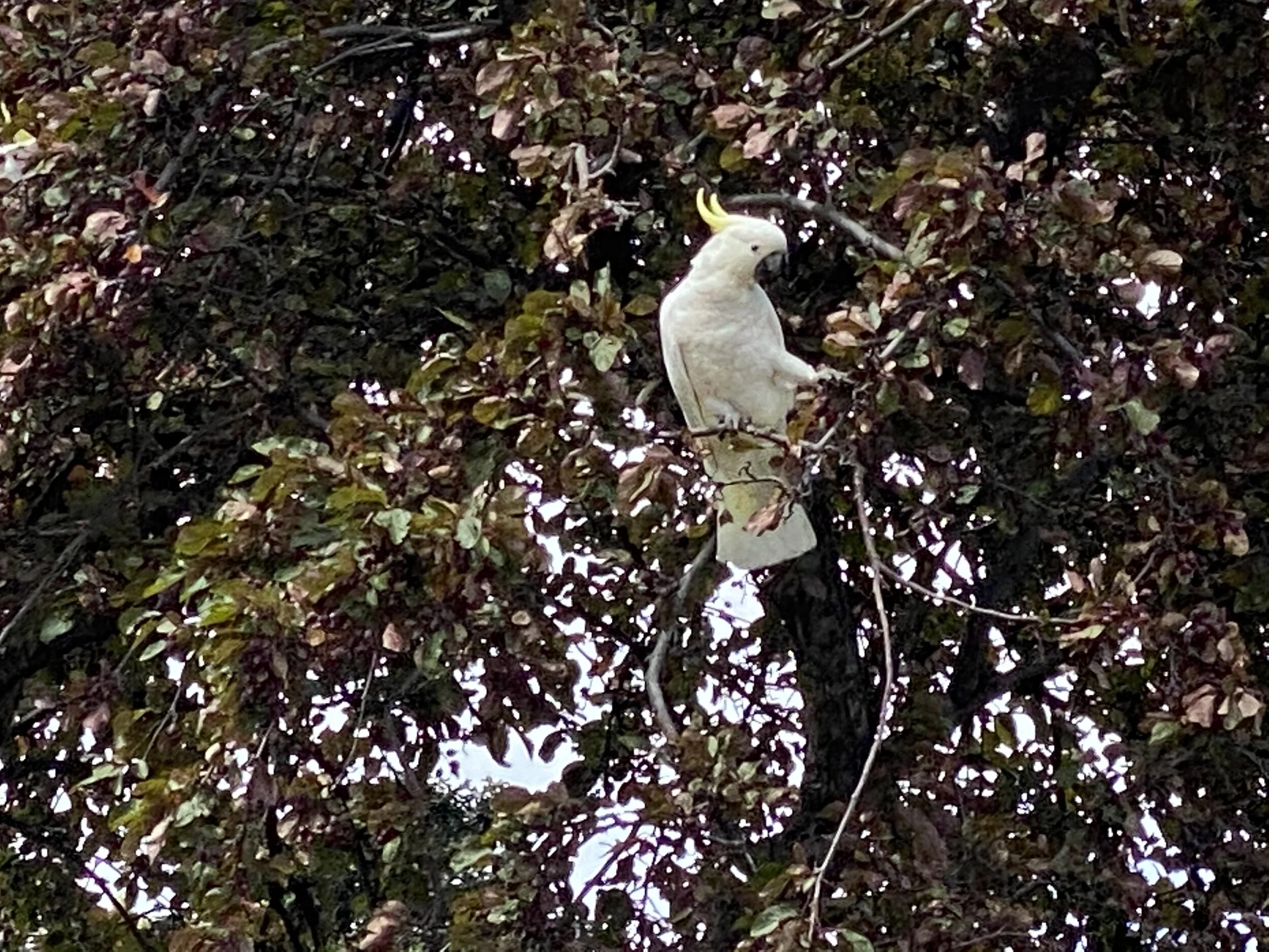 Post 96: It's been a while!