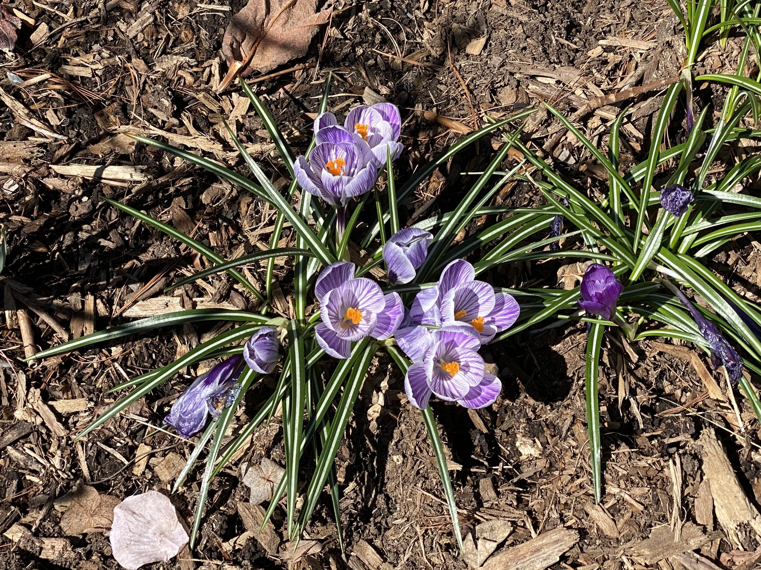 2020-03-14 12.19.11.jpg