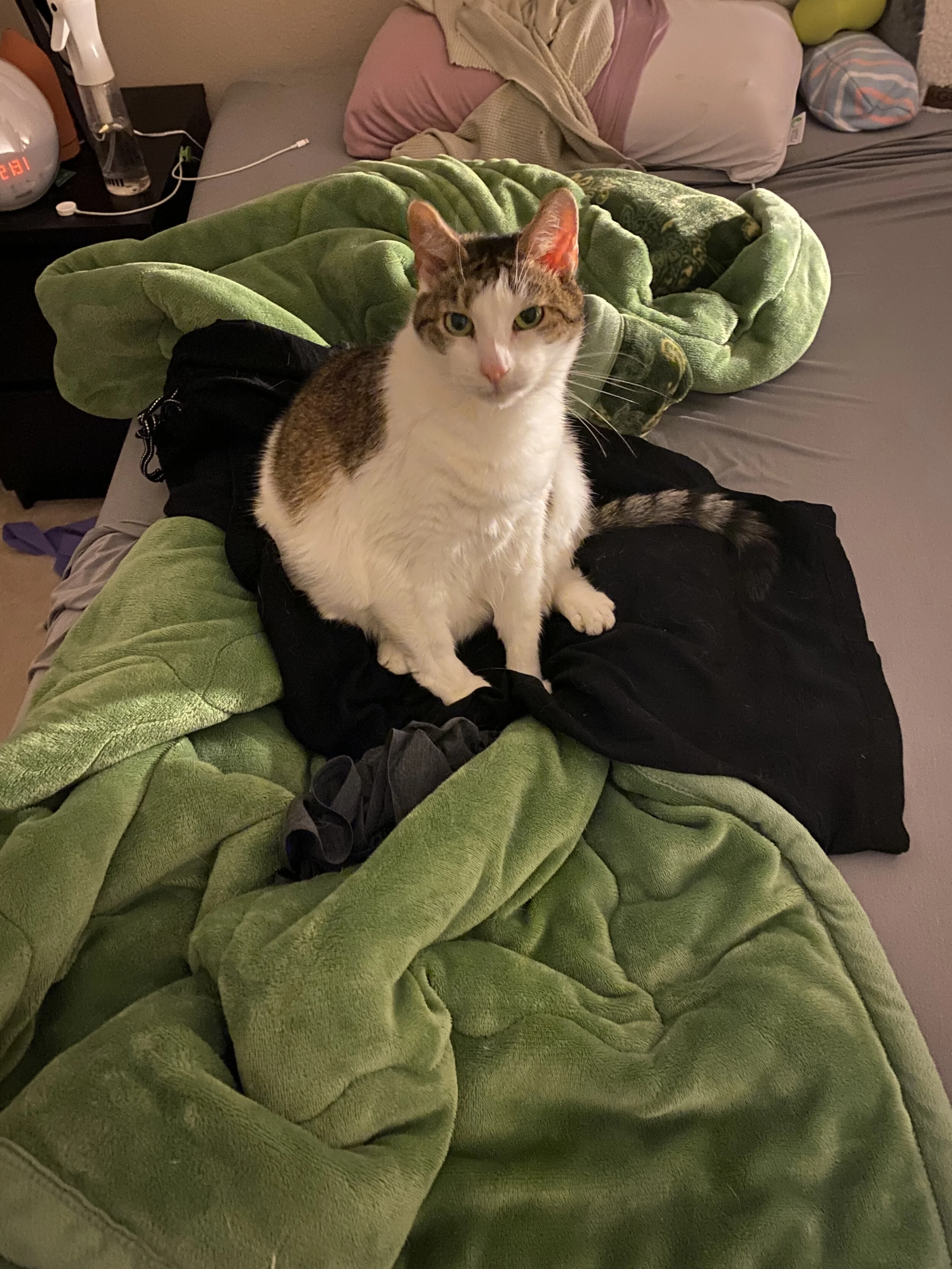 Post 100: It's been a minute