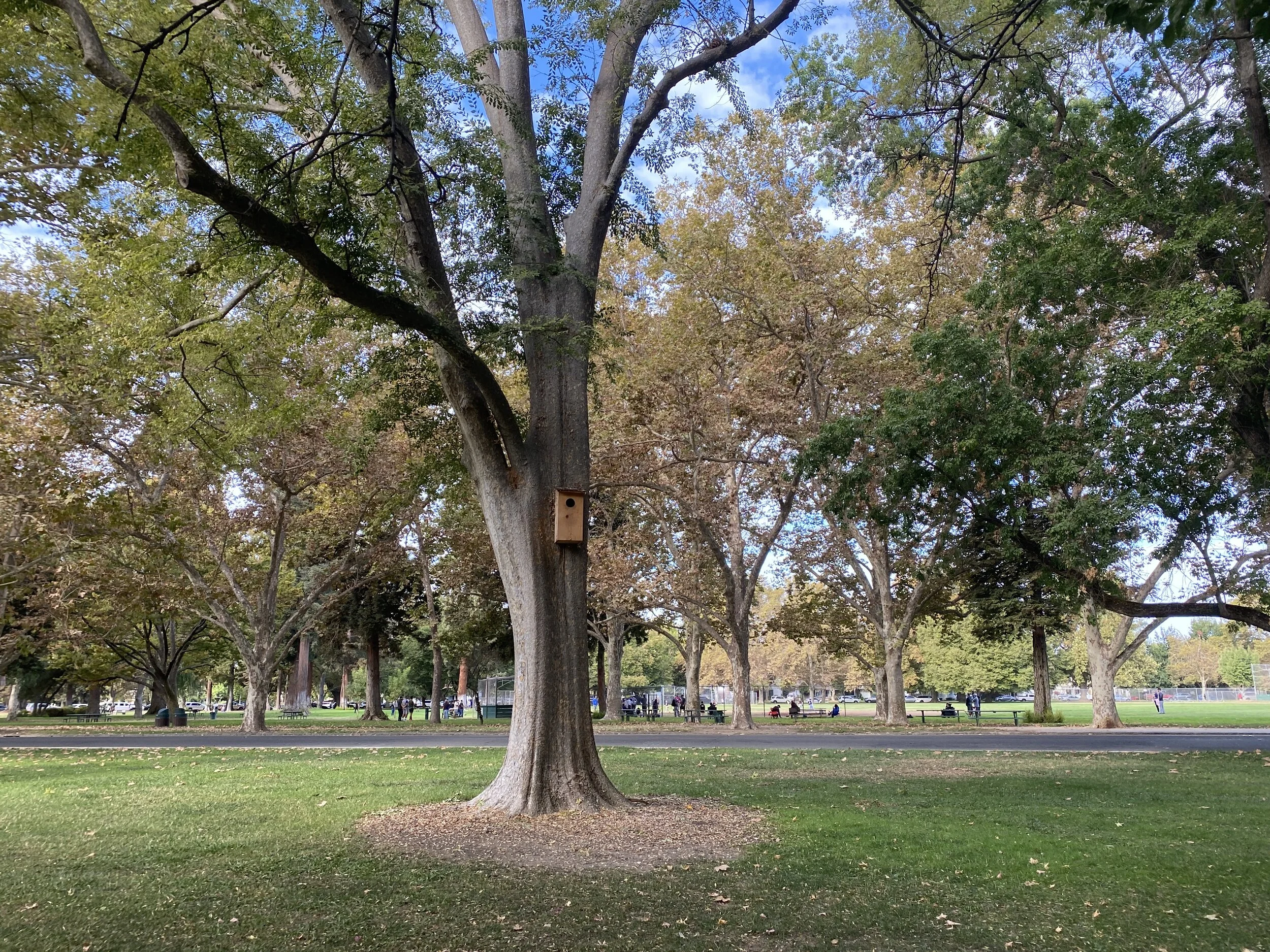 Post 108: Out to Sacramento