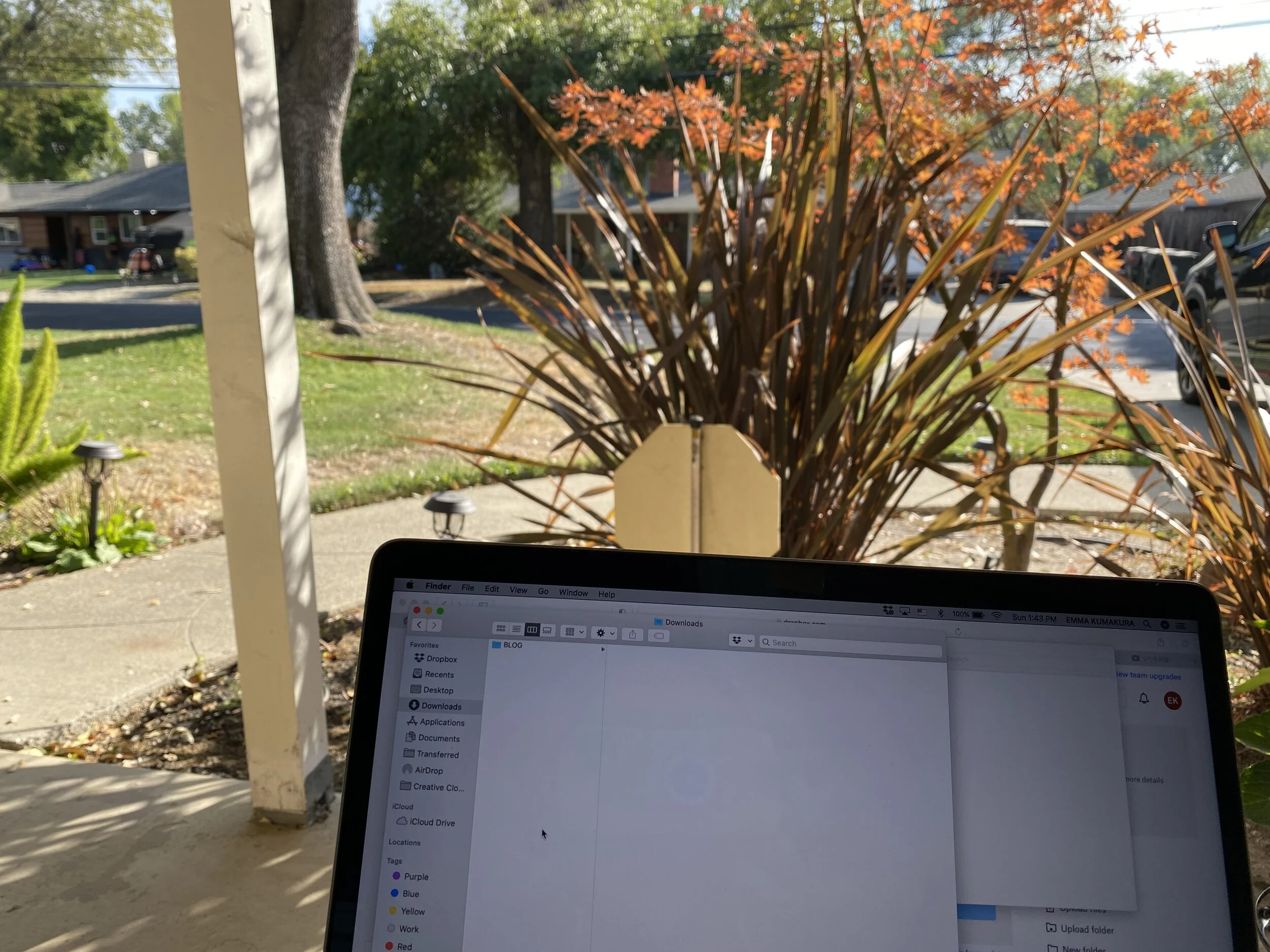 Post 110: It's Autumn, FINALLY!