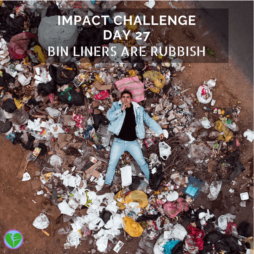 Day 27 | Bin Liners Are Rubbish