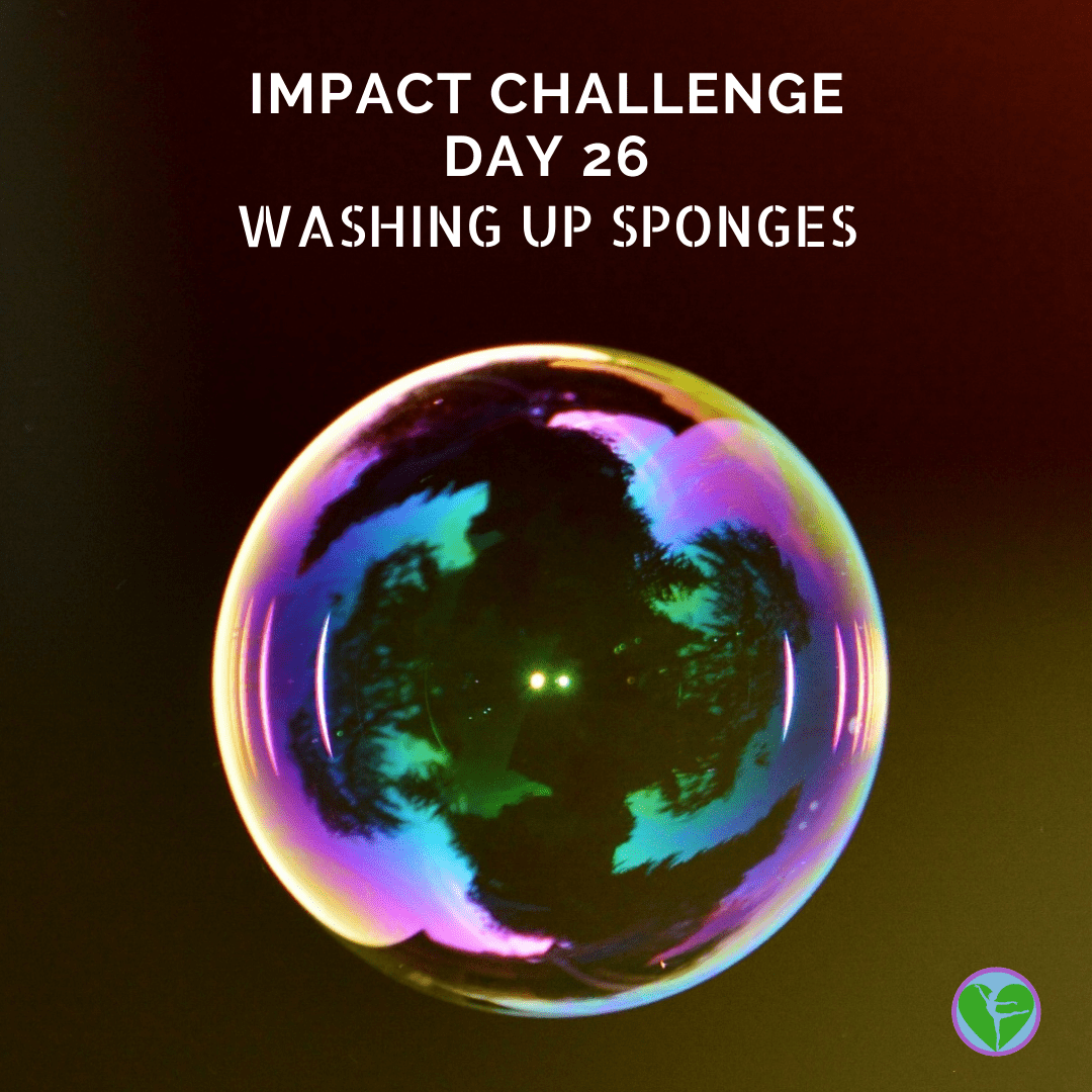 Day 26 | Washing Up Sponges