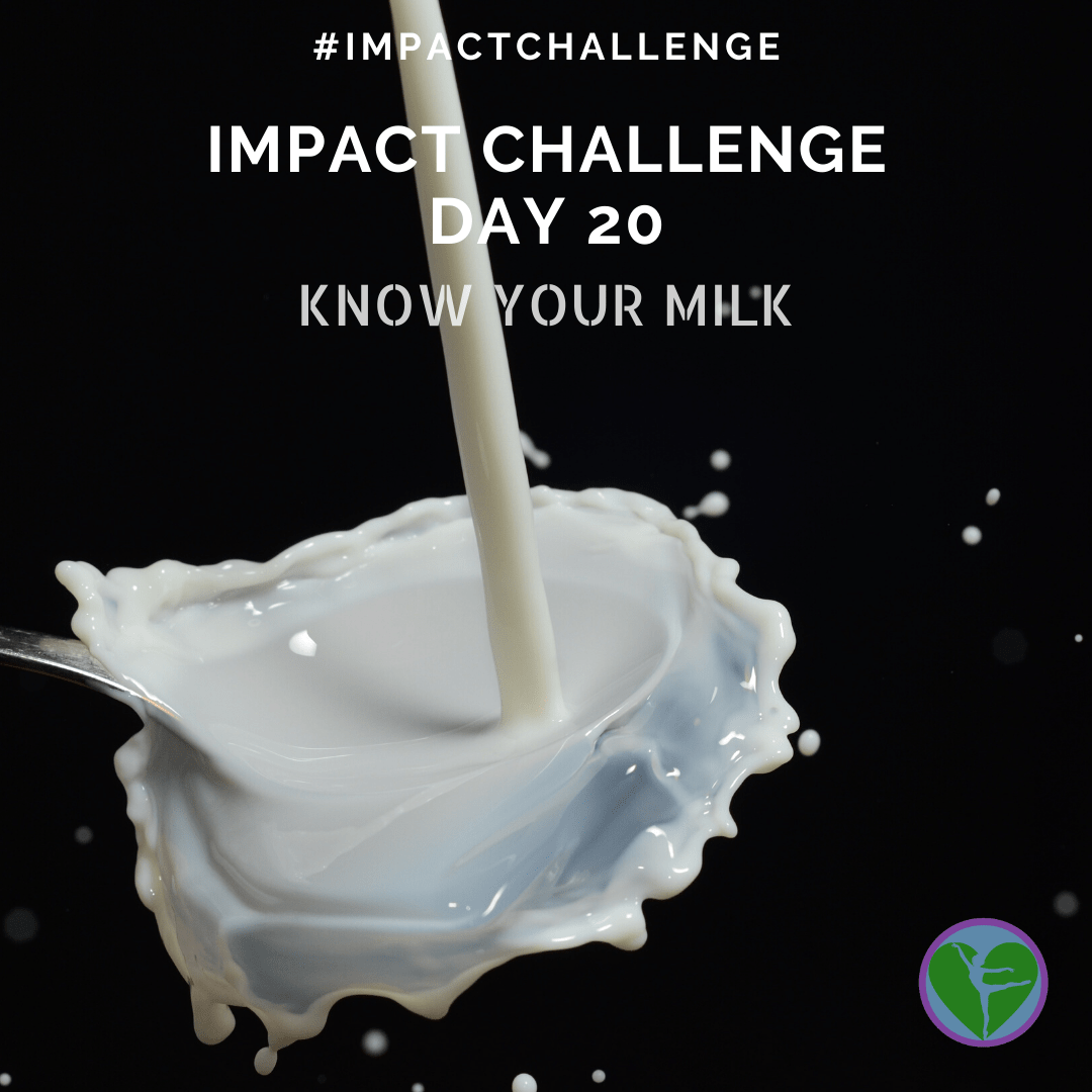 Day 20 | Know Your Milk