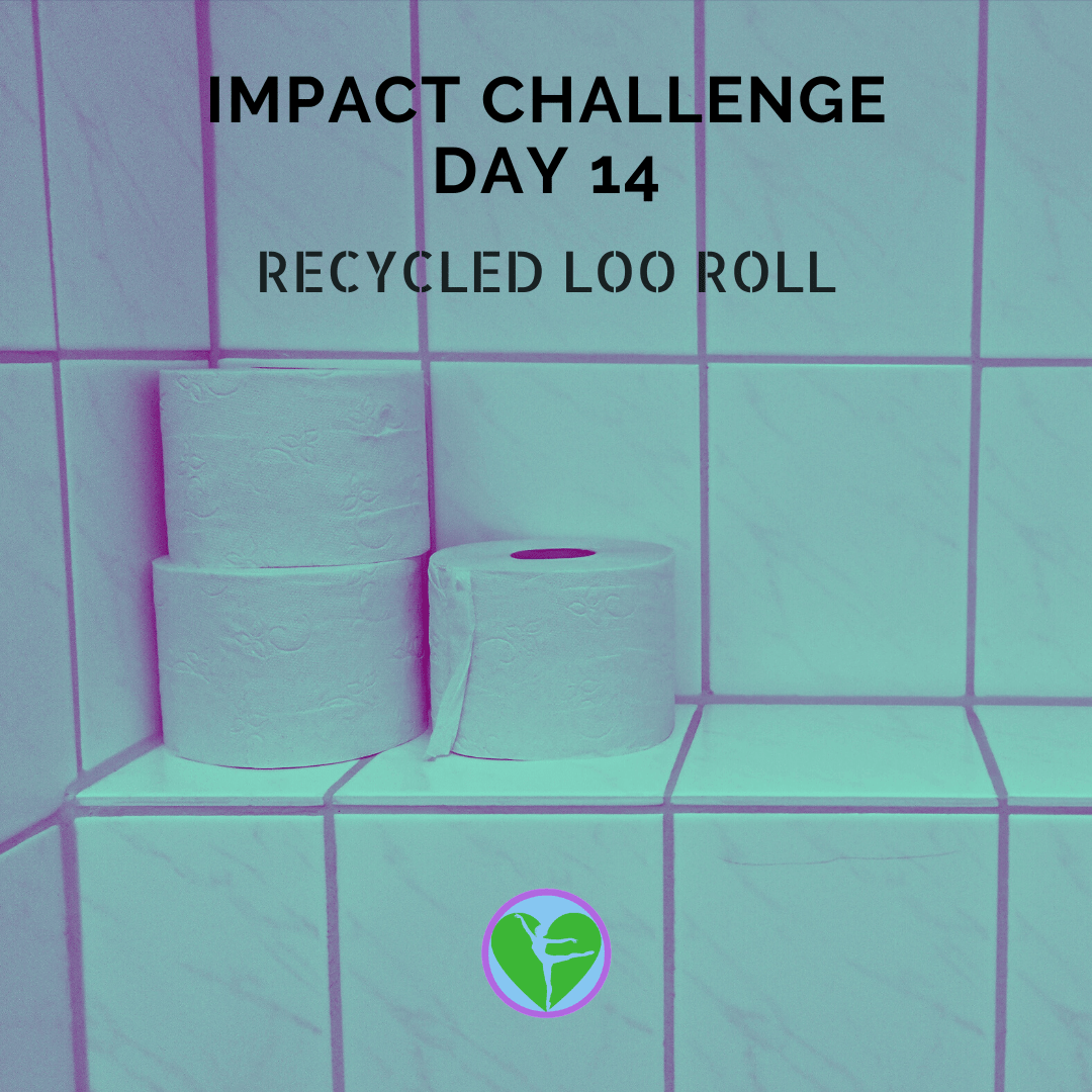 Day 14 | Loo Roll