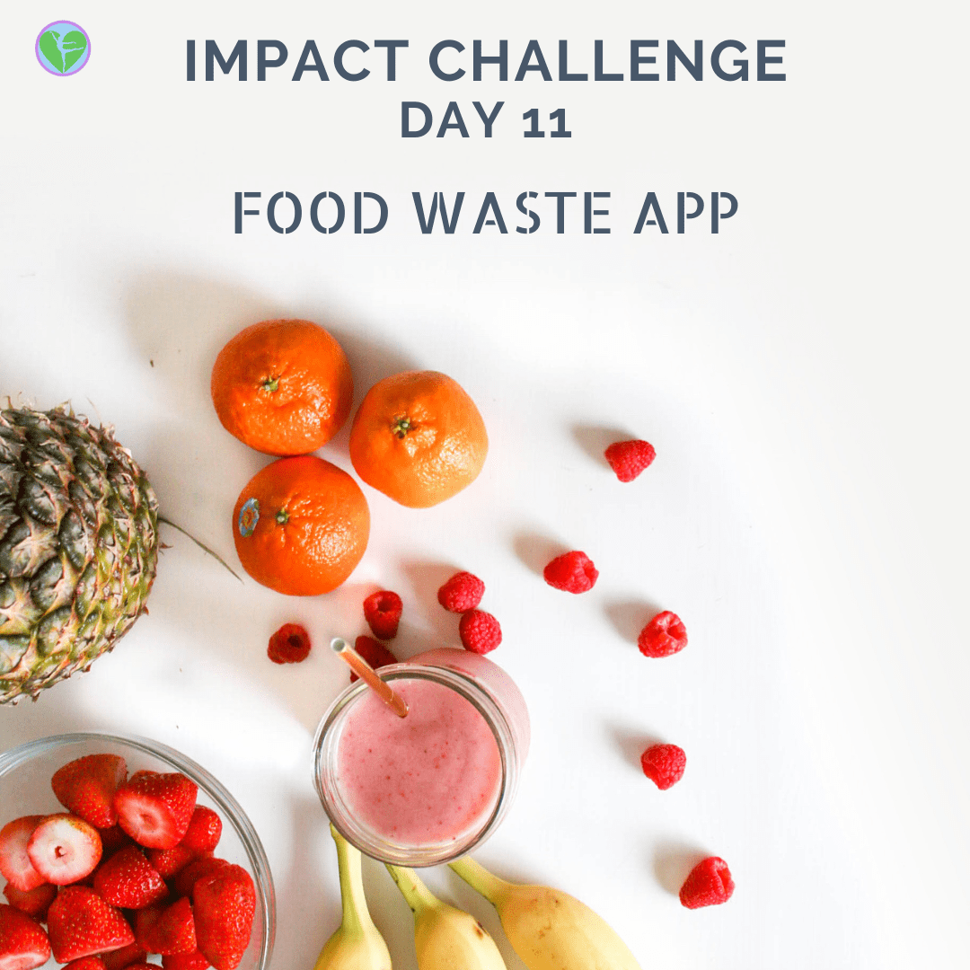 Day 11 | Food Waste App
