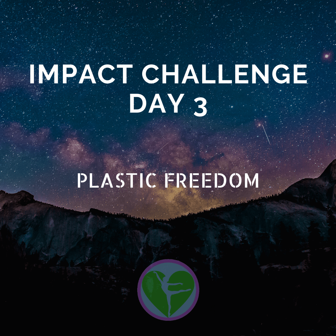 How To Go Plastic Free