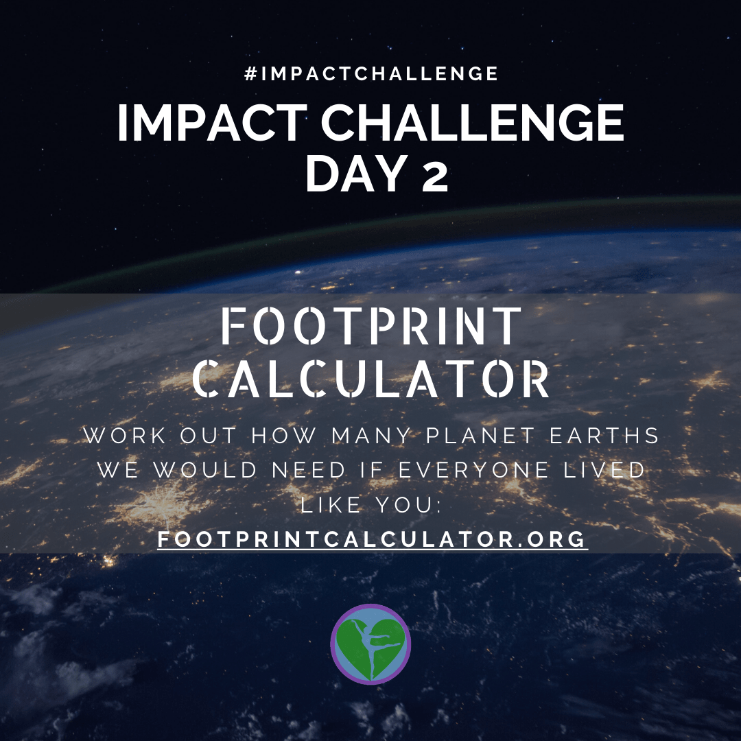 What is my carbon footprint?