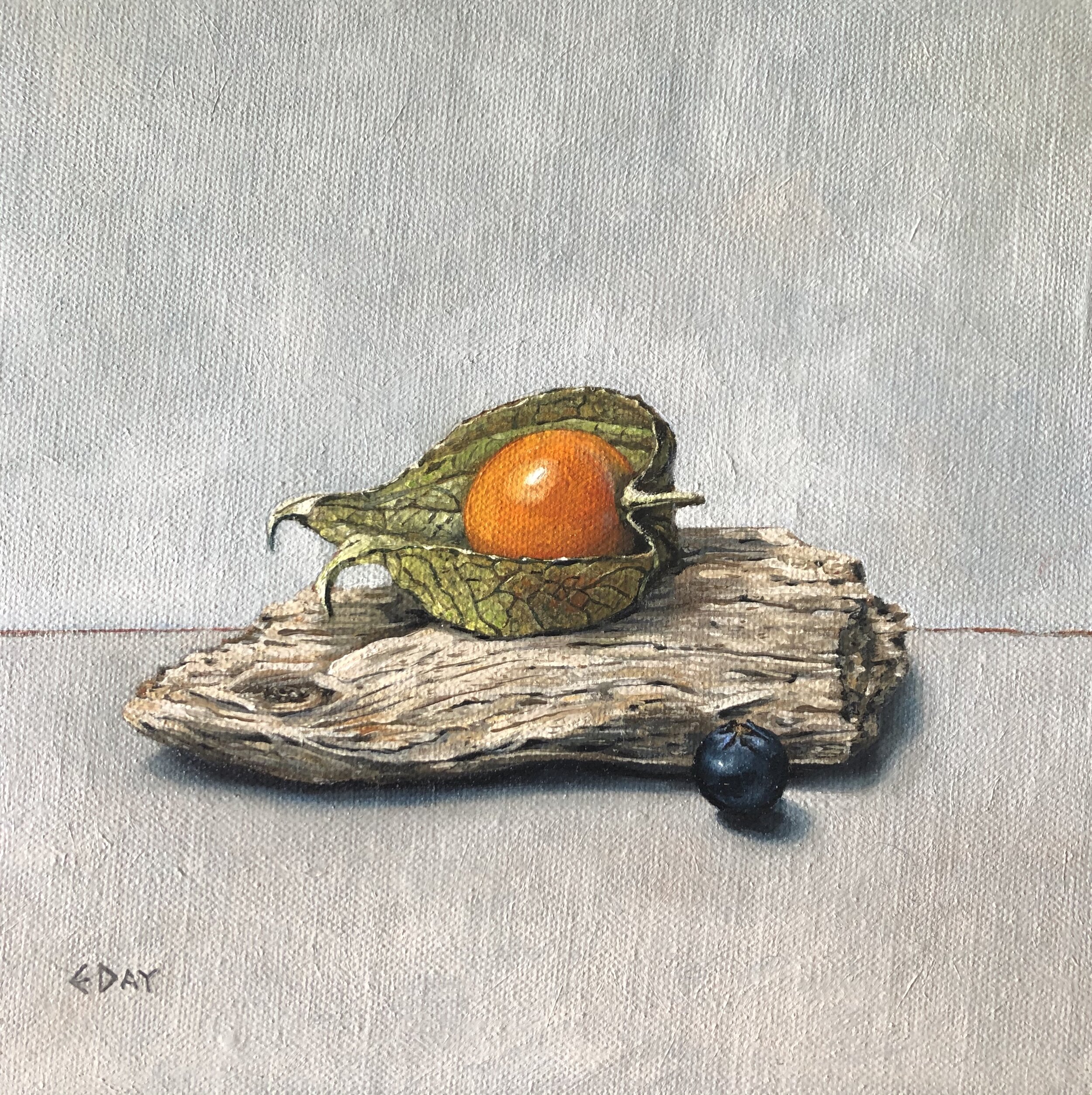 Physalis on driftwood