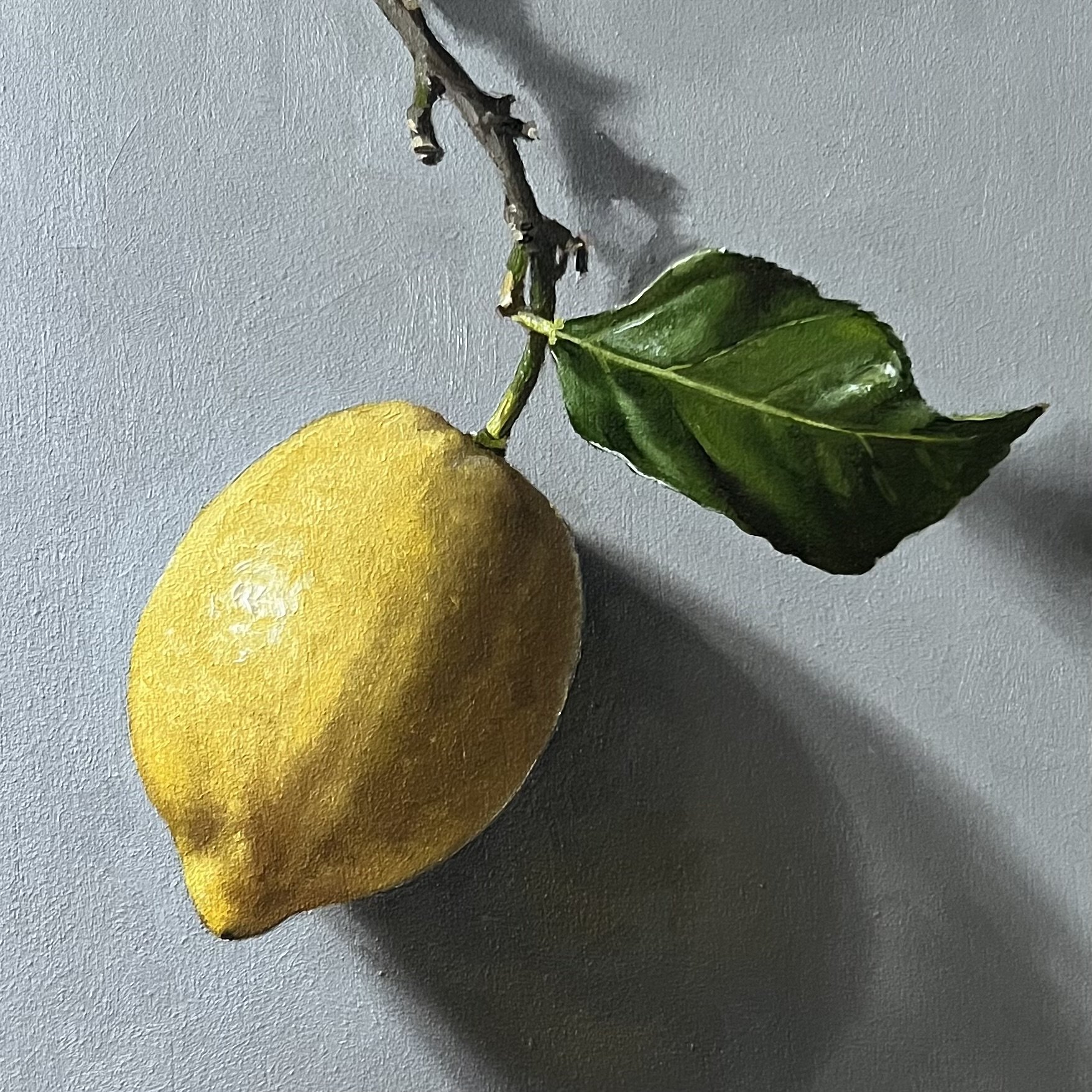 Lemon hanging II