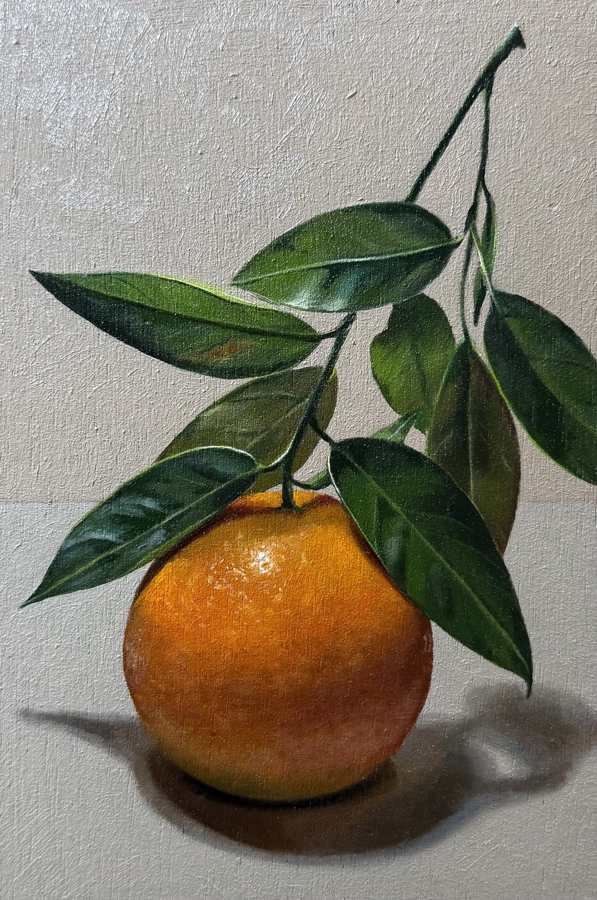 Leafy orange 