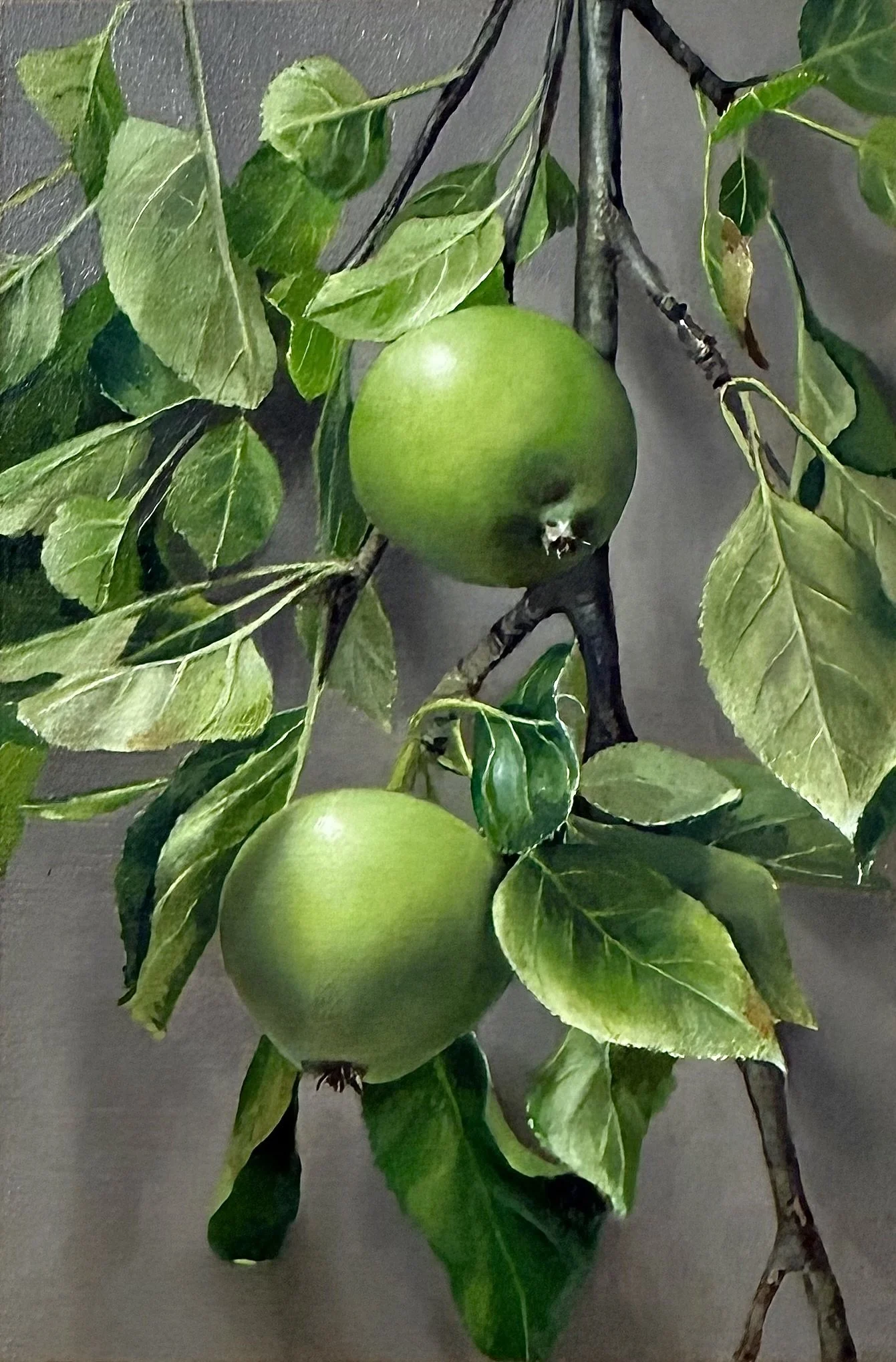 Apples from my garden