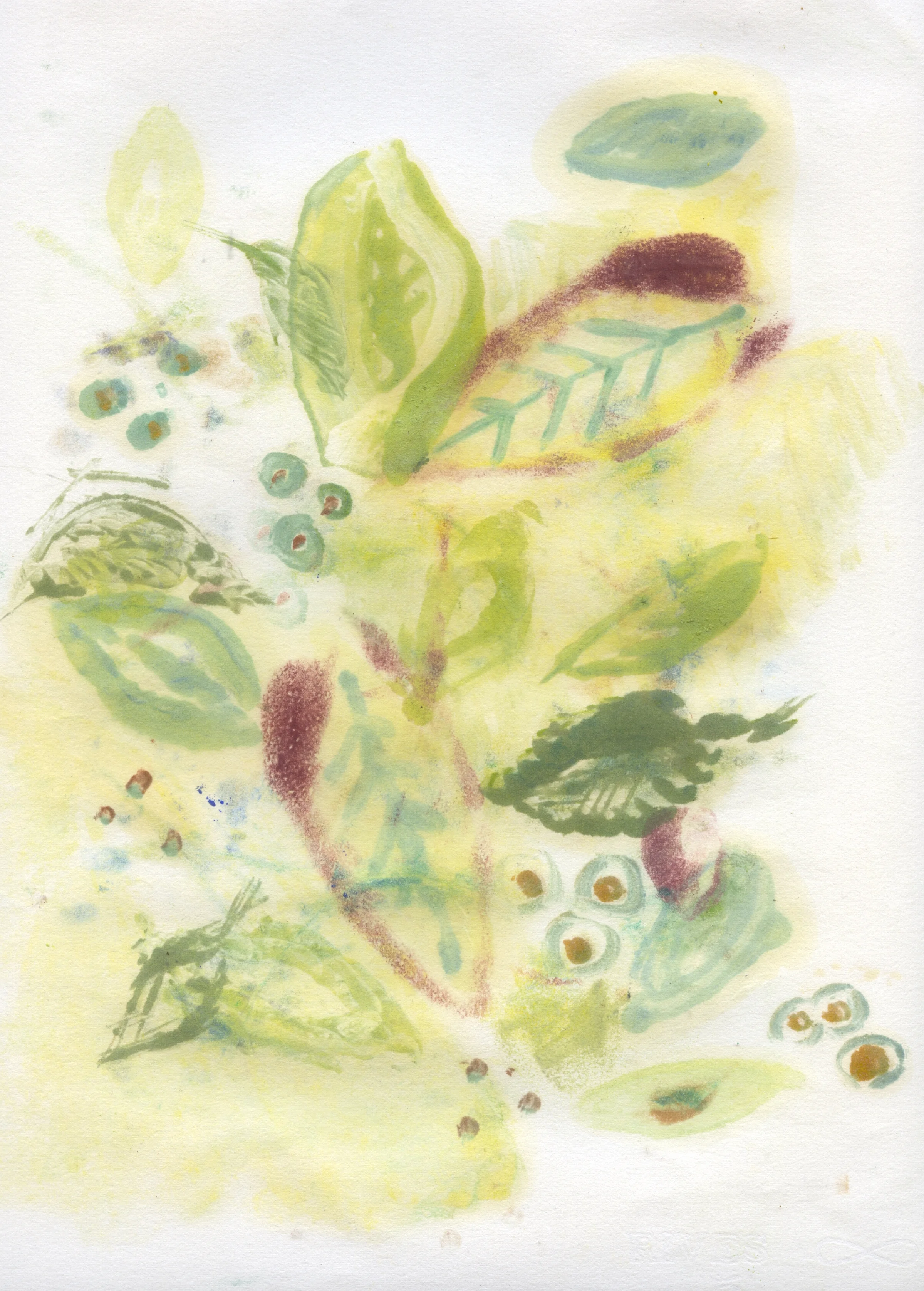 olive