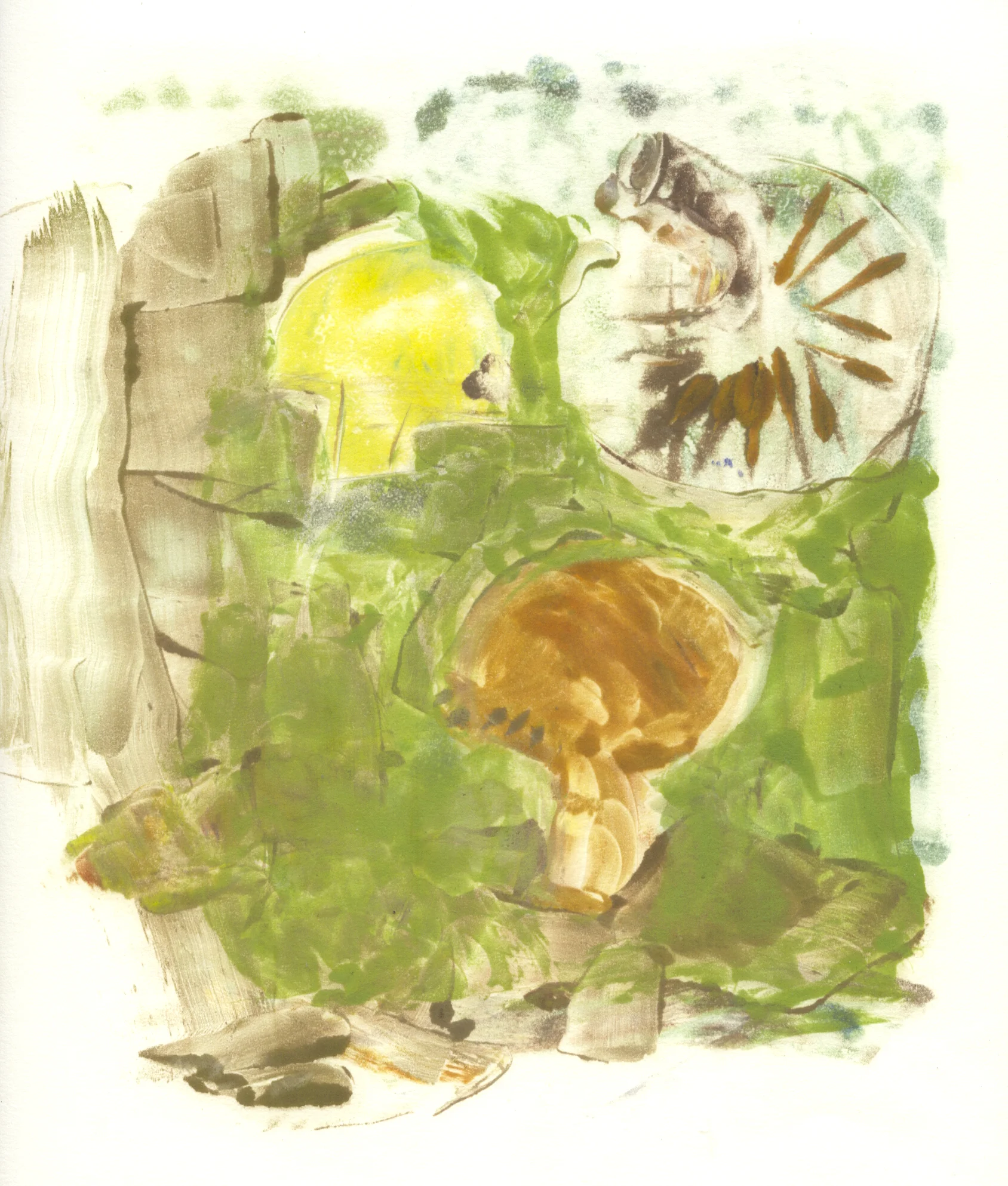 mossy