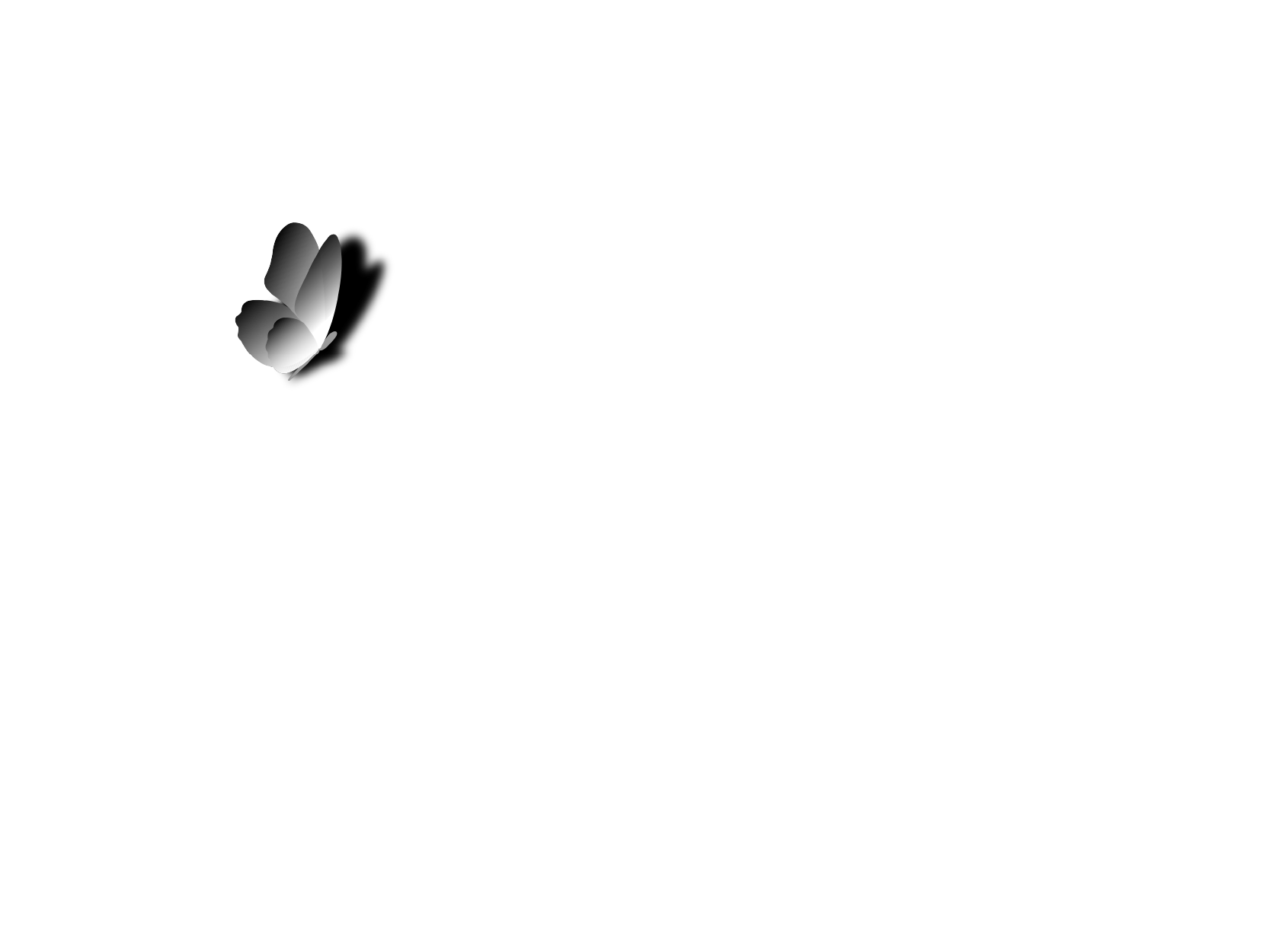 Momenta Finance