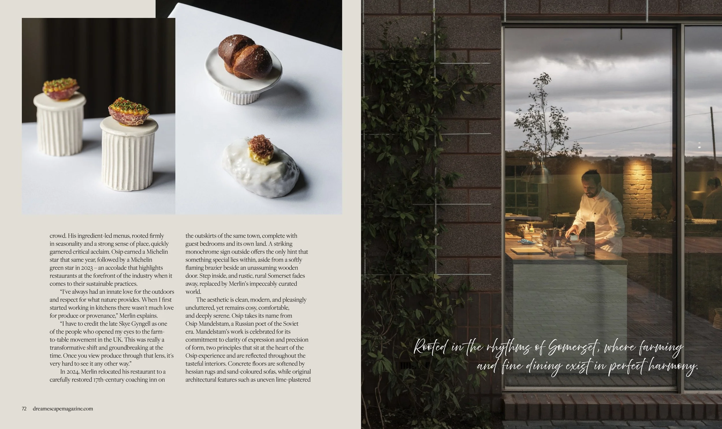 DE 2 DreamEscapeMagazine_MERLIN LABRON-JOHNSON.jpg