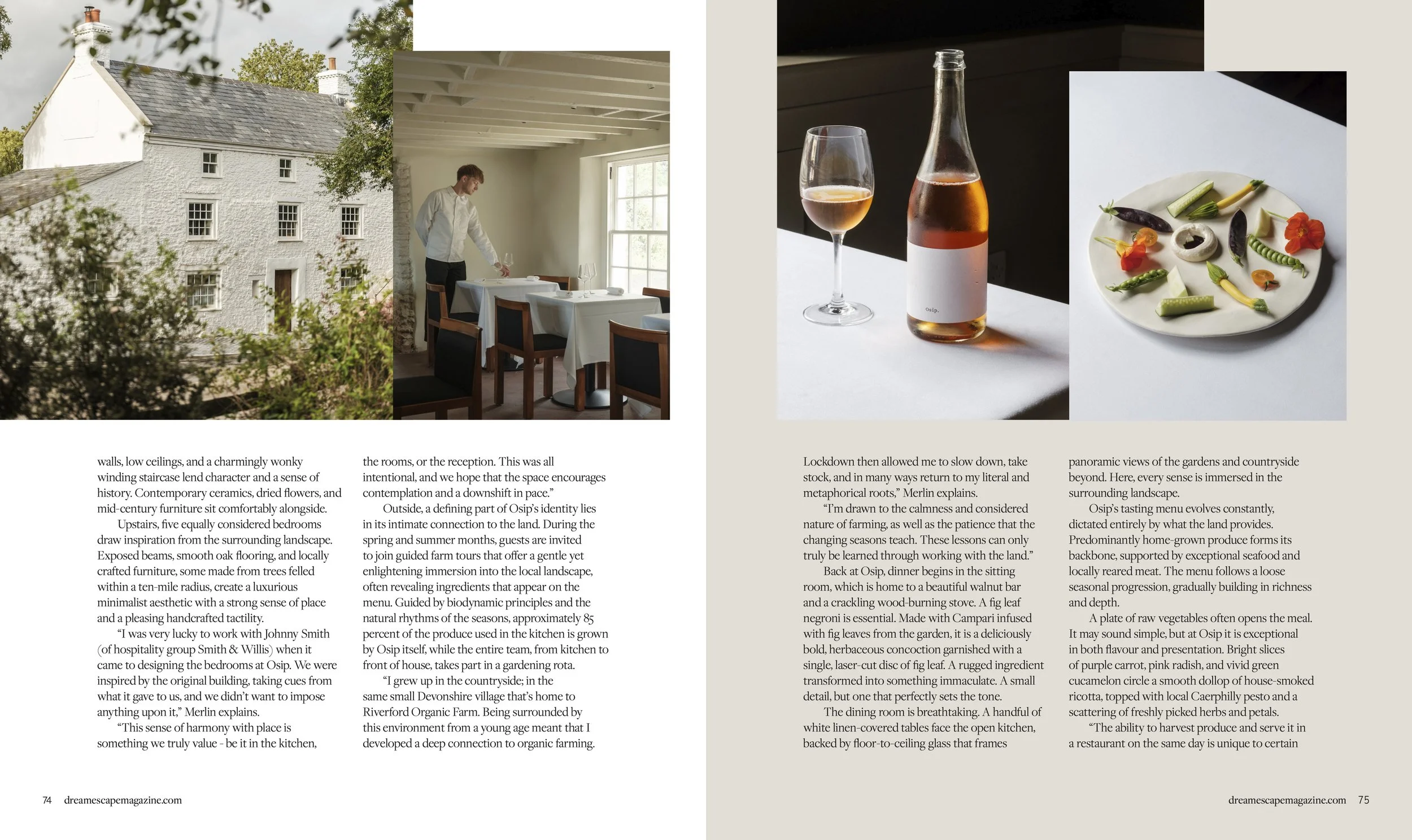 DE 3 DreamEscapeMagazine_MERLIN LABRON-JOHNSON.jpg