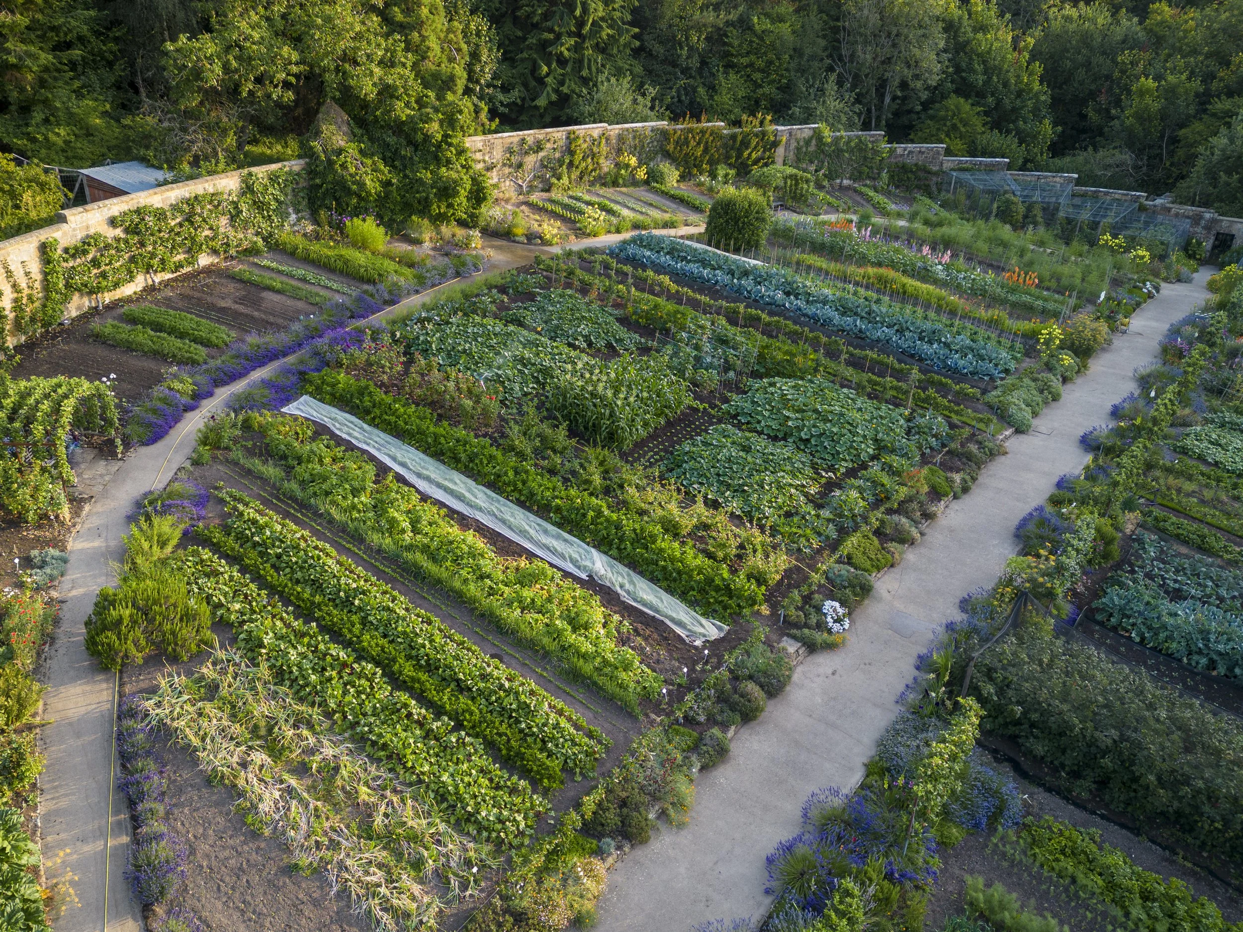 Guided by the garden