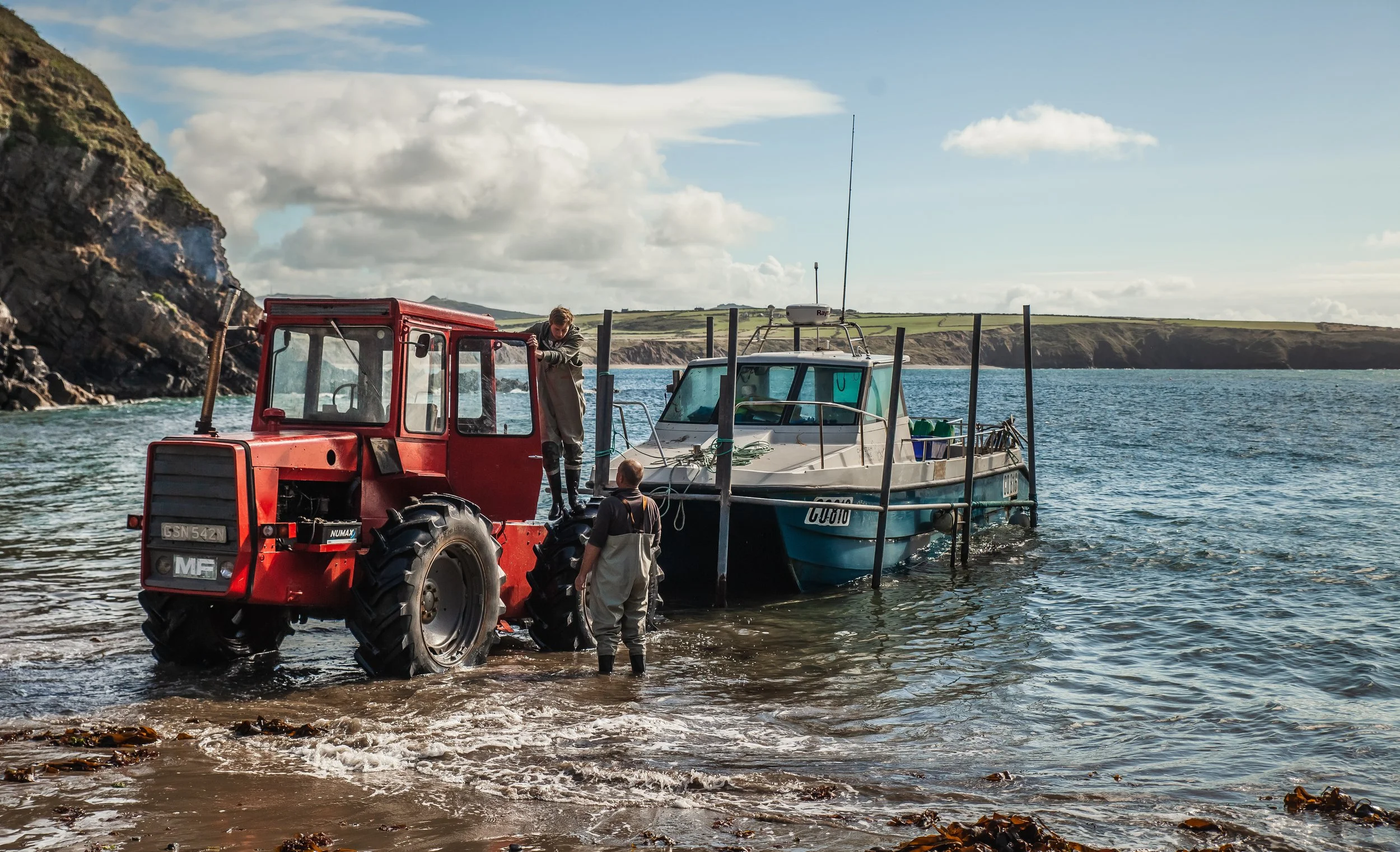 Welsh seafood adventures