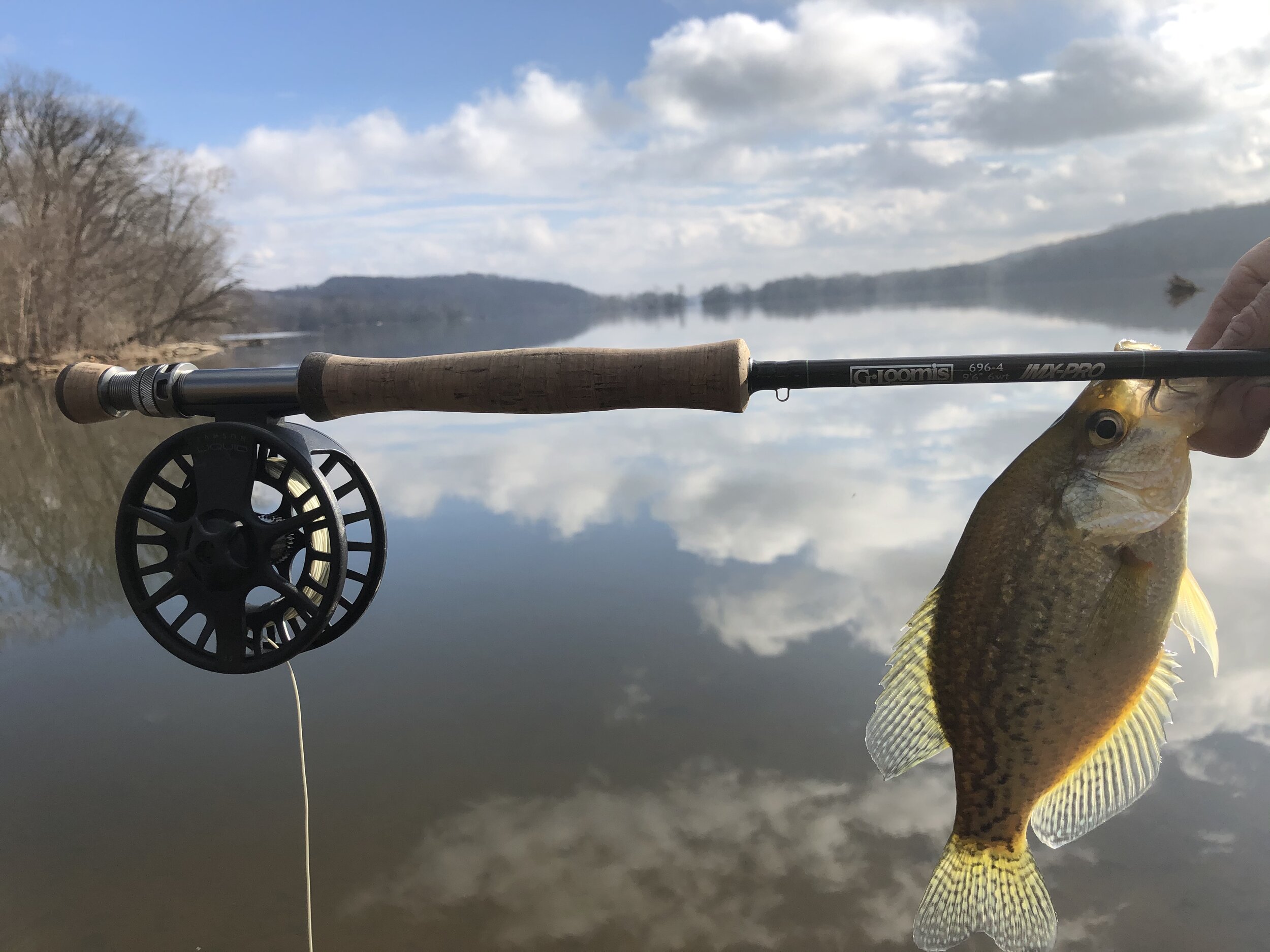 FLY FISHING — Potomac River Trophies