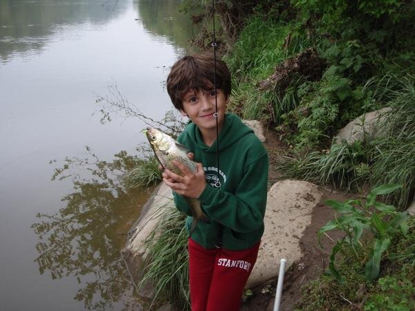 jackey_shad.jpeg