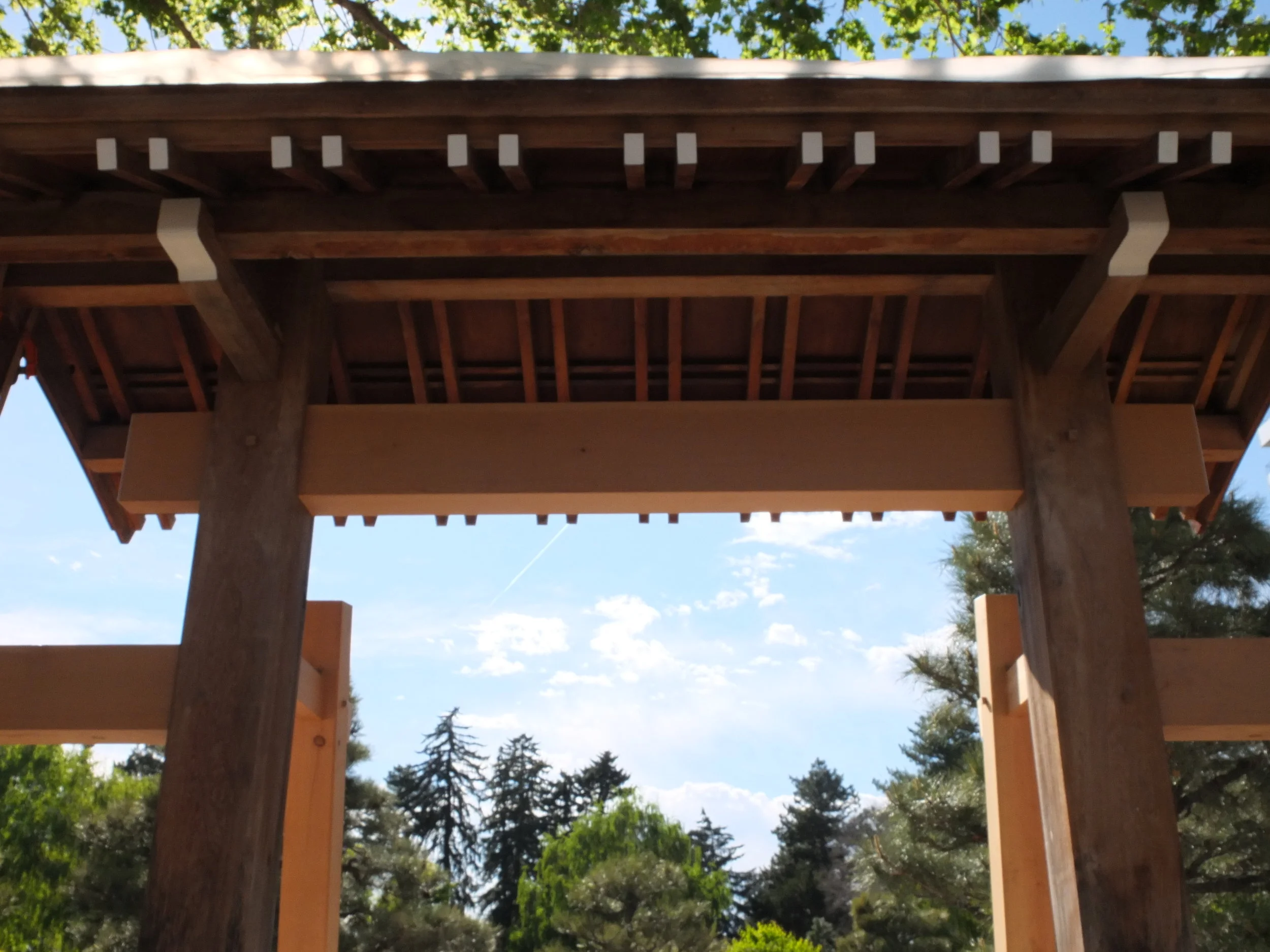 DSCF0437.JPG