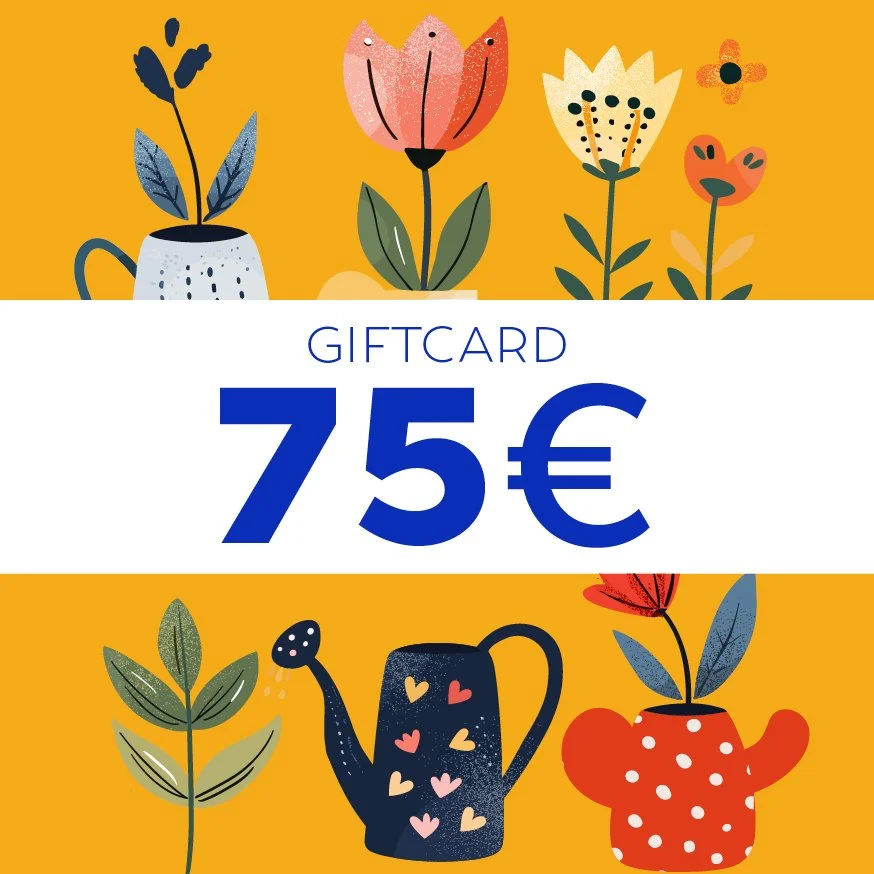 Gift Card 75€