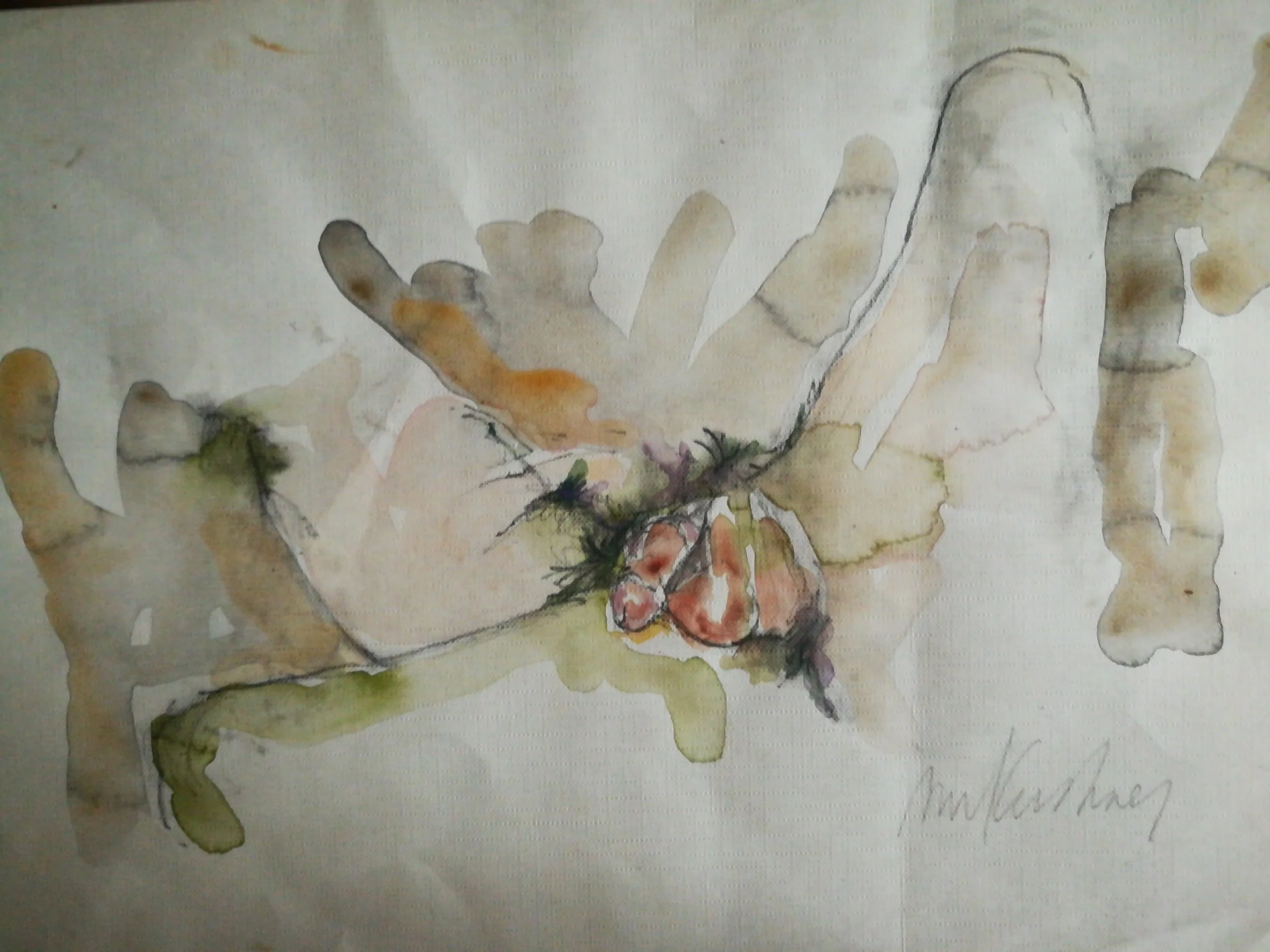 penis watercolor
