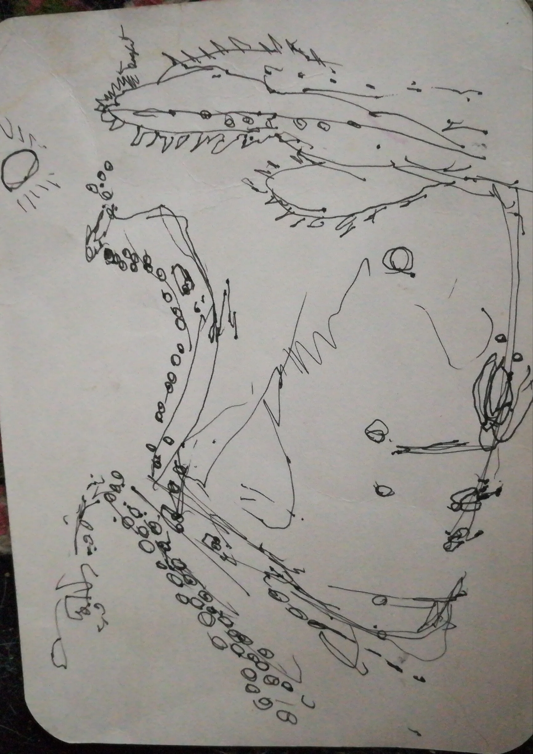 ink drawing of cactus in desert scene