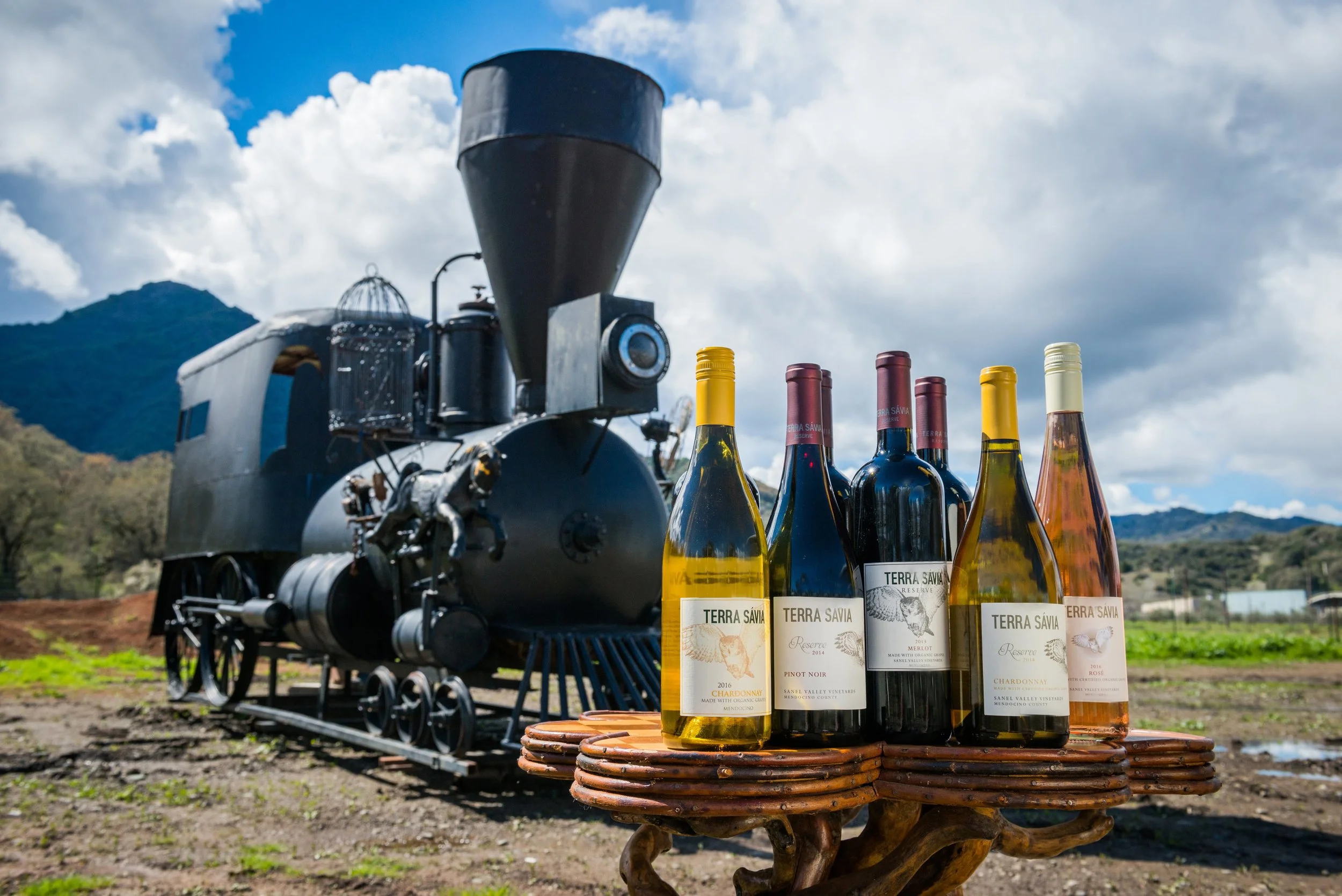 LOCOMOTIVE SCULPTURE