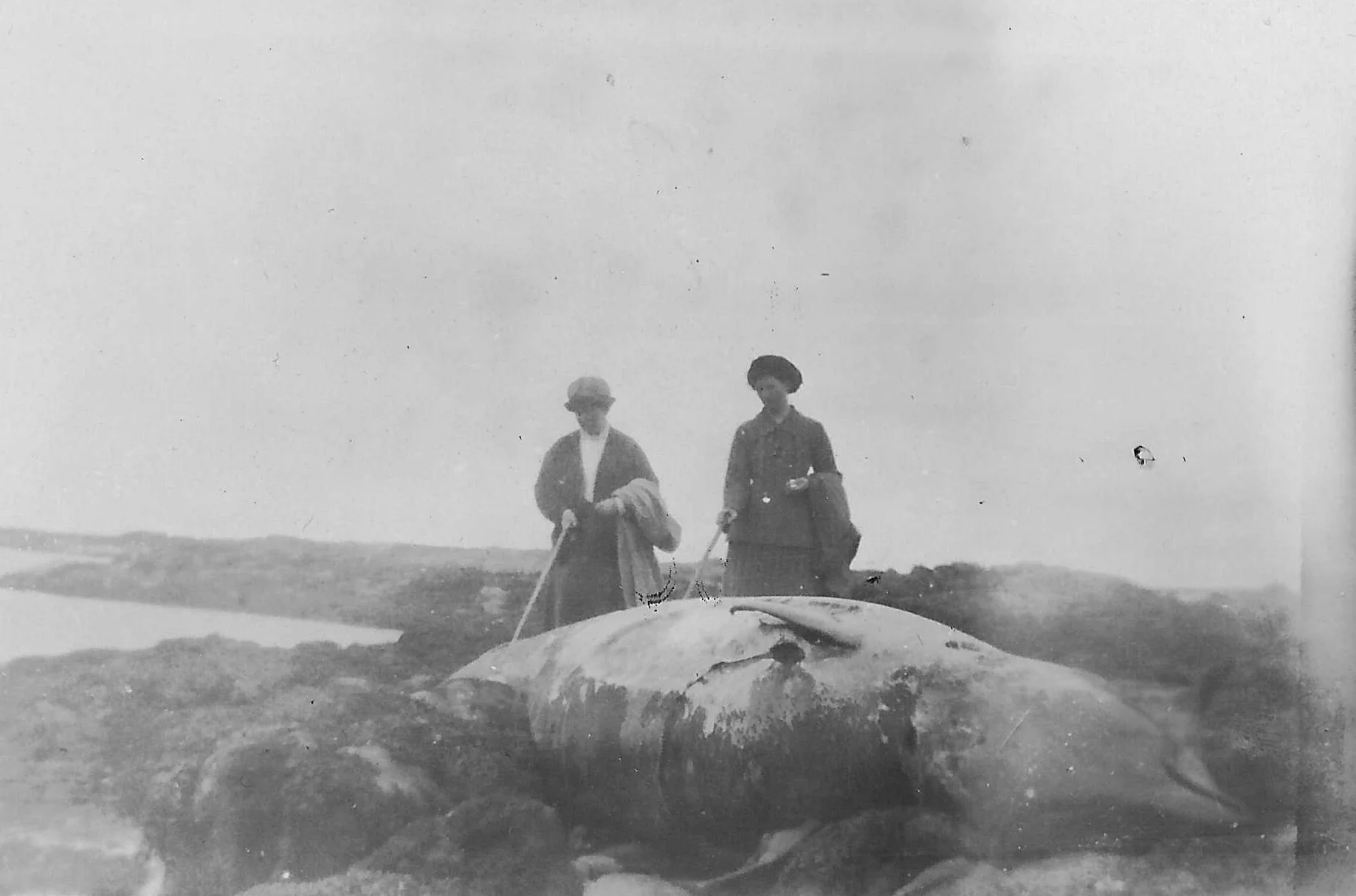 Tiree1920s_AnIodhlann.jpg