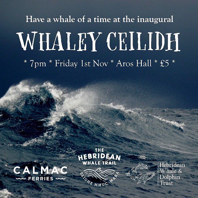 The nights may be drawing in, but there&rsquo;s plenty to look forward to! Come along to our inaugural Whaley Ceilidh in Tobermory for a whale of a time! 
Visit www.hwdt.org for more details 🐋
-
-
-
-
-
-
-
-
-
#visitscotland #hiddenscotland #hebrid
