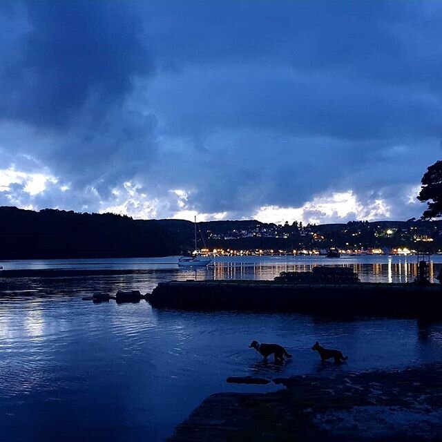 Tobermory in the gloaming (a Scottish word used to describe the time just when the light starts to fade). As the nights start to draw out, anticipation is growing as to what magical moments will happen along the Hebridean Whale Trail in 2020!
.
Tober