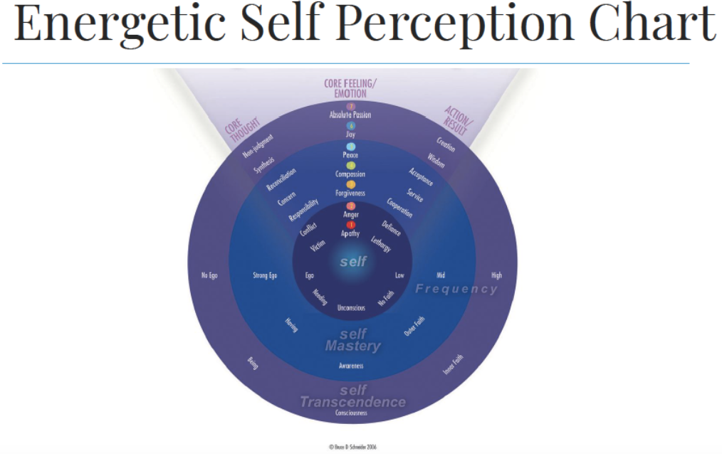 How do you lead? Elevate your style with the 7 levels of Energy Leadership — Rock Spring Coaching
