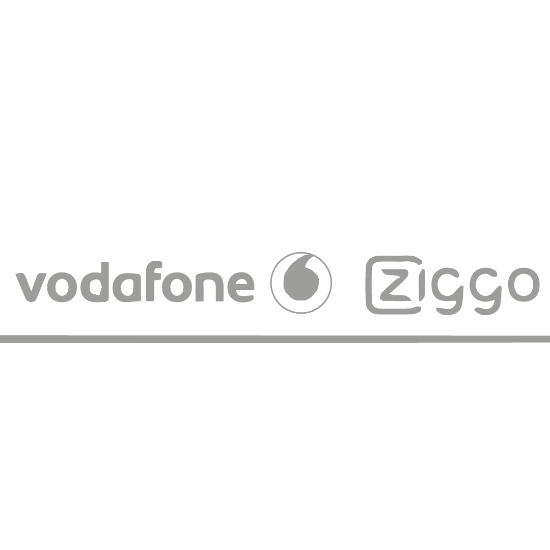 VODZIGgrey.png