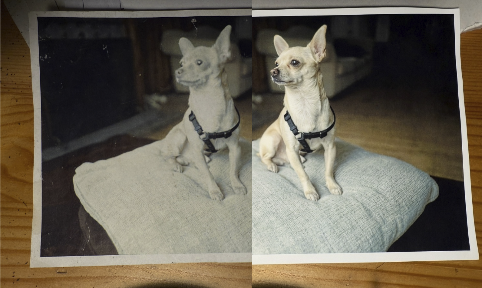 Screenshot 2026-03-22 at 4.39.22 AM.png