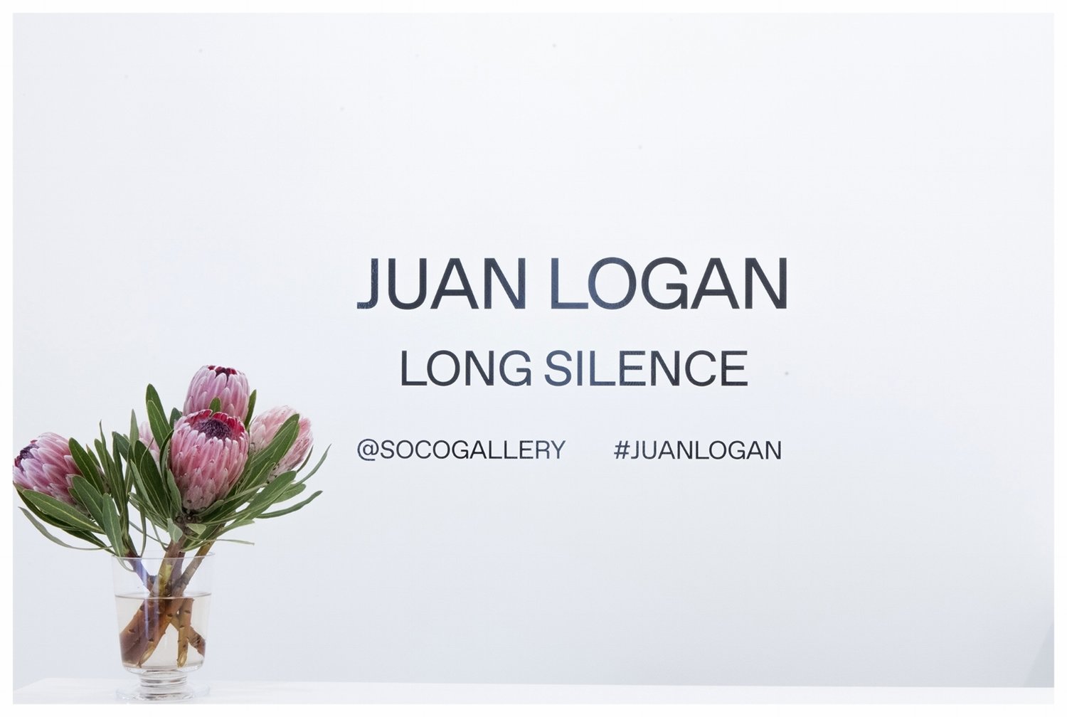 SOCOGallery_JuanLogan_LongSilence_.jpg