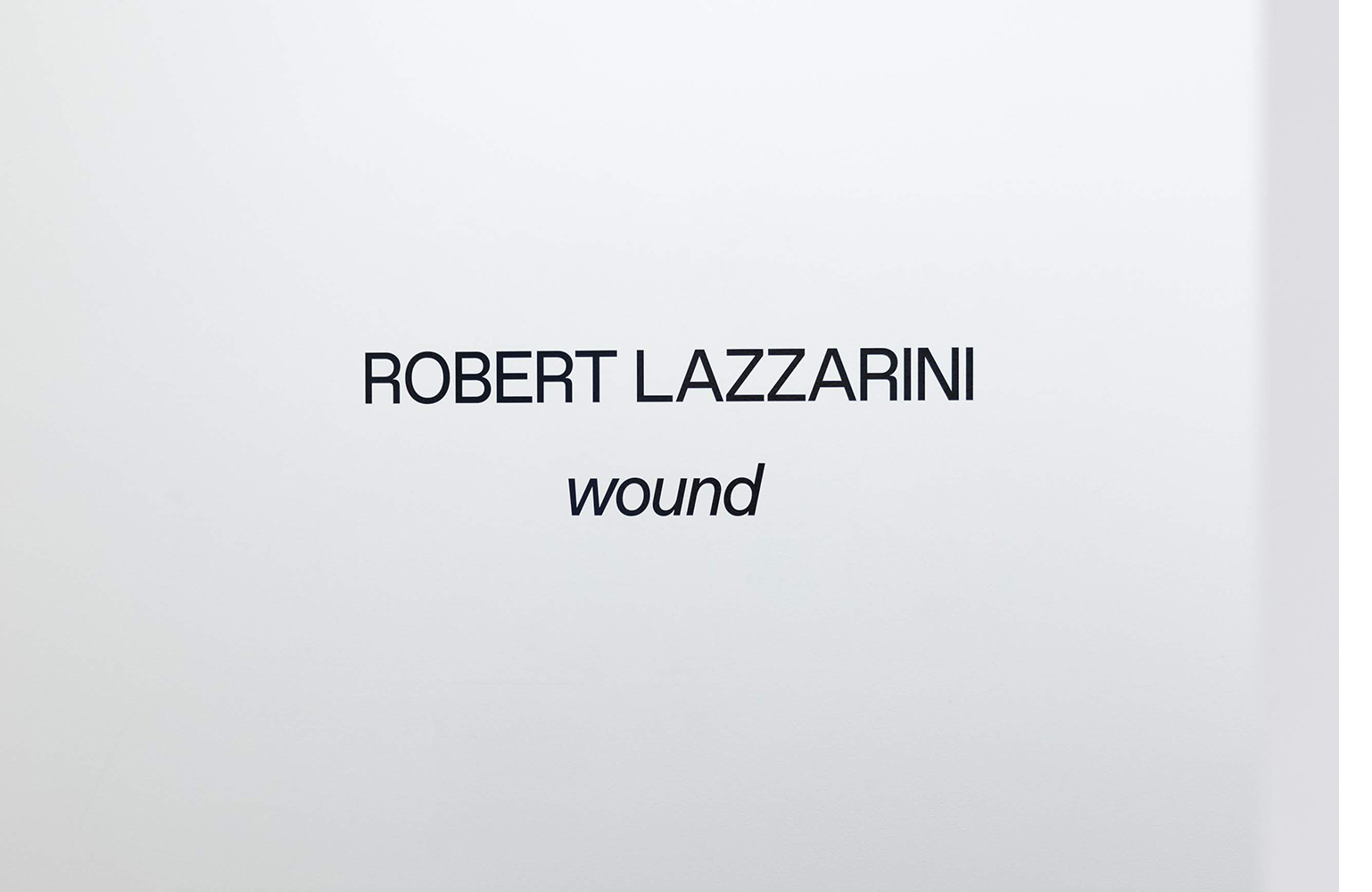 Lazzarini_wound_Install_18.jpg